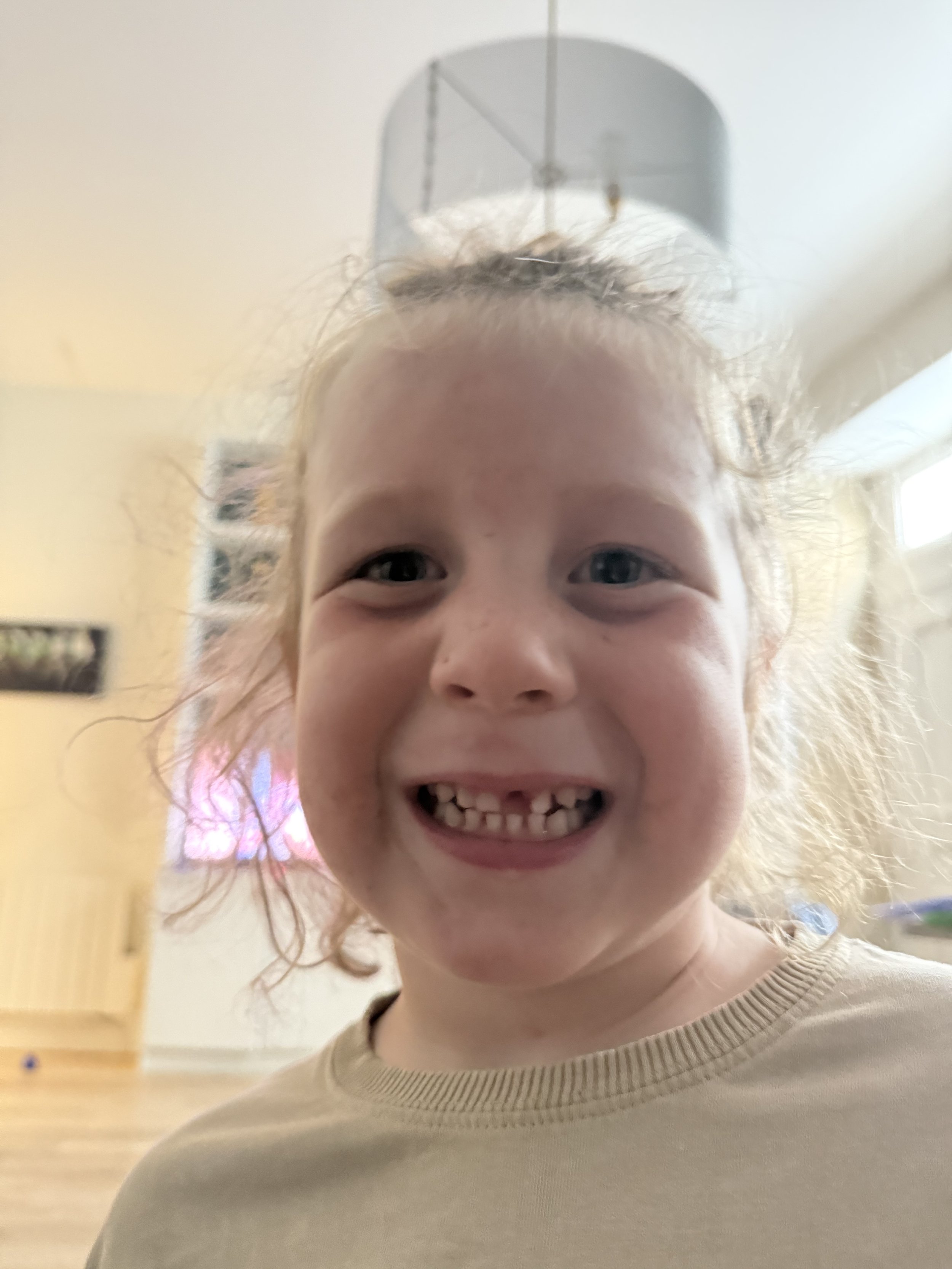 IMG_2598.jpeg