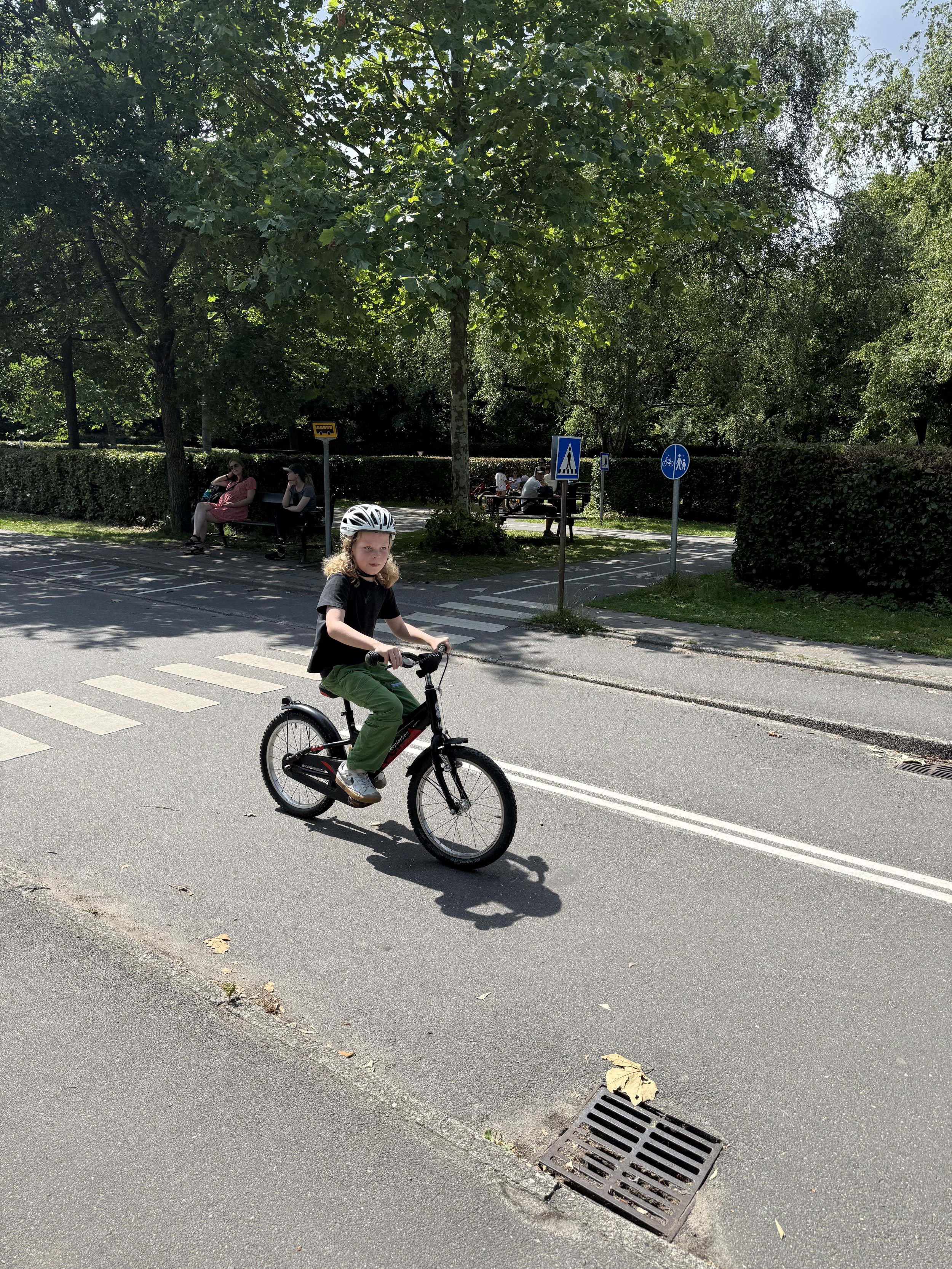 IMG_3558.jpeg