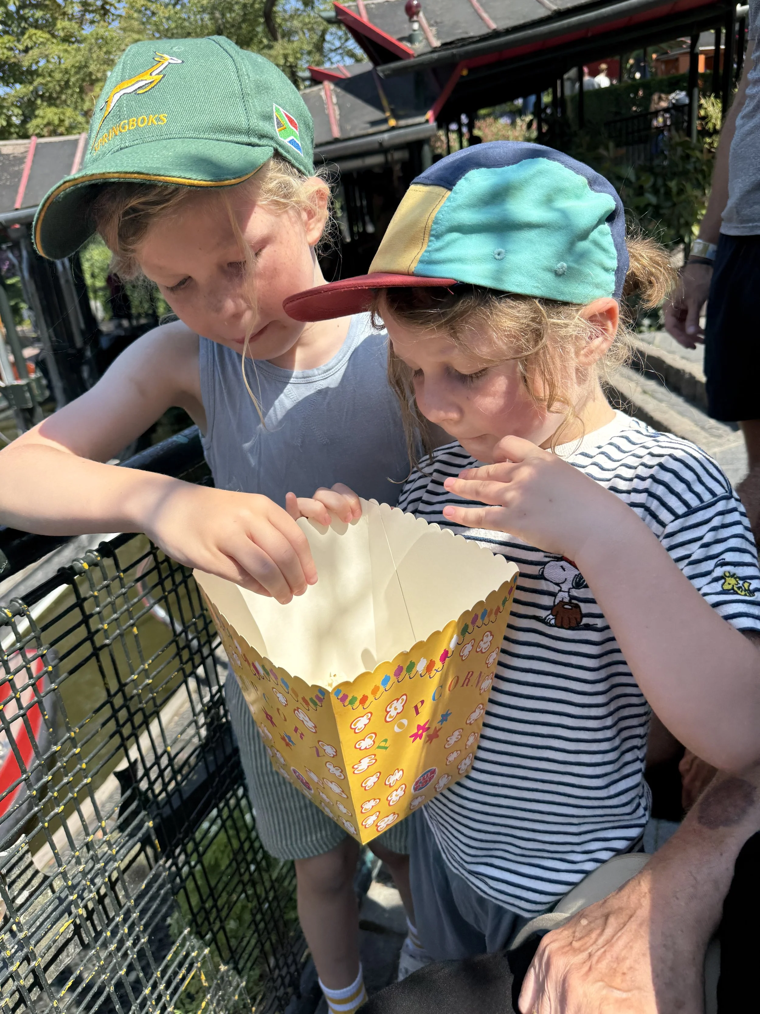 IMG_3788.jpeg