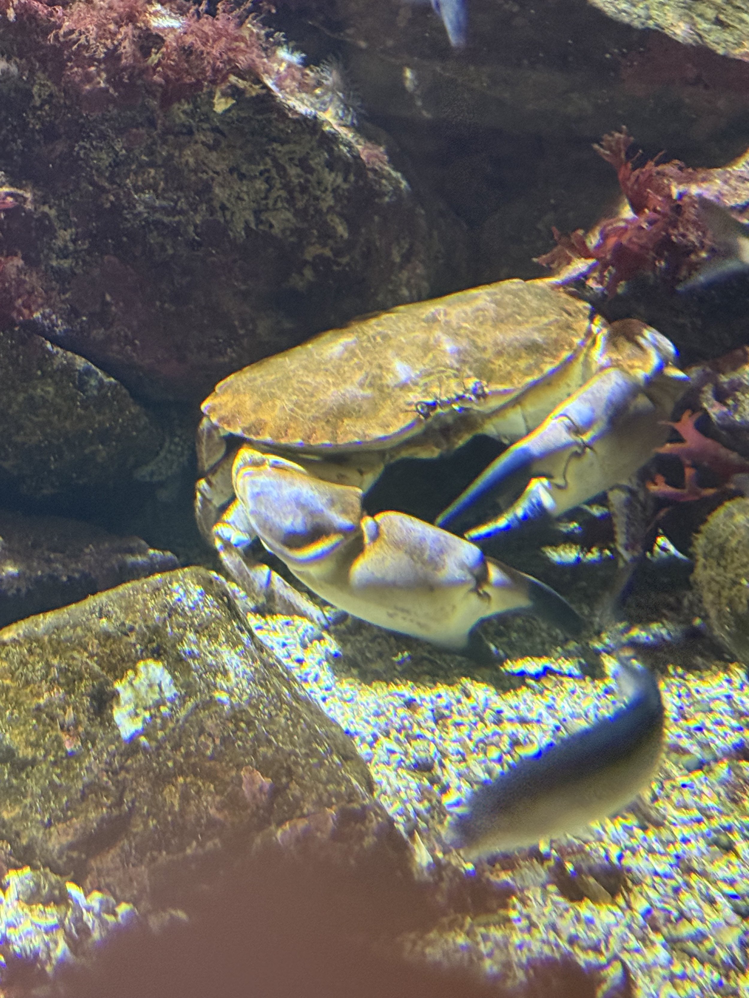 IMG_6788.jpeg