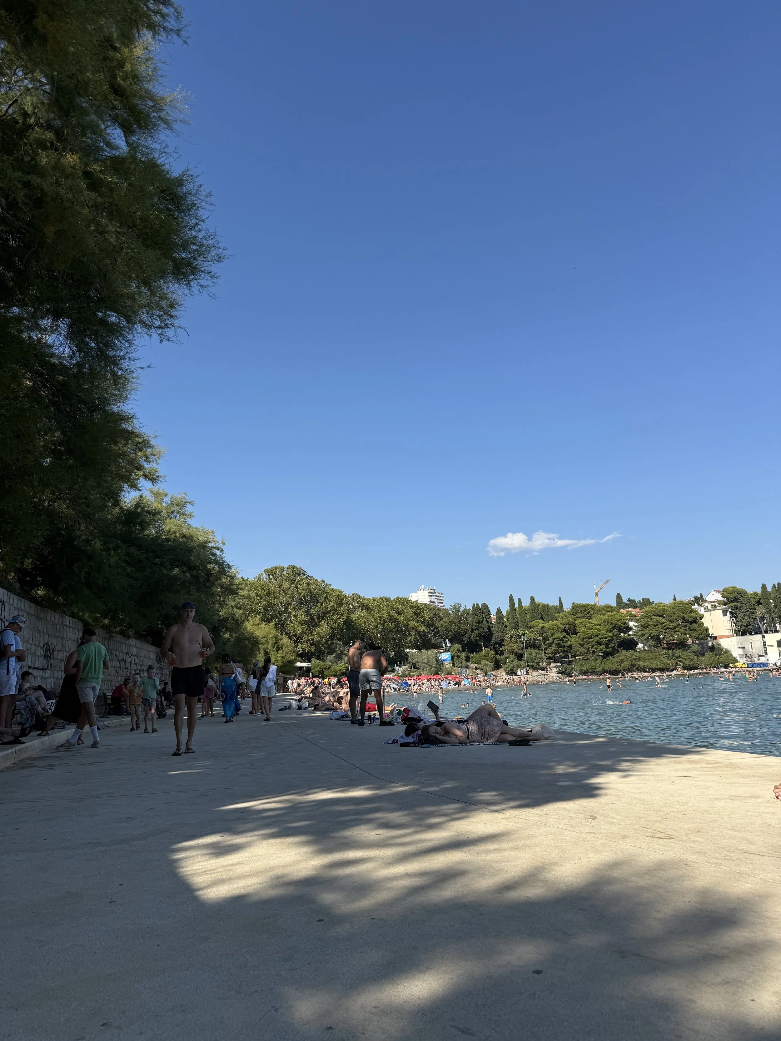 IMG_4743.jpeg