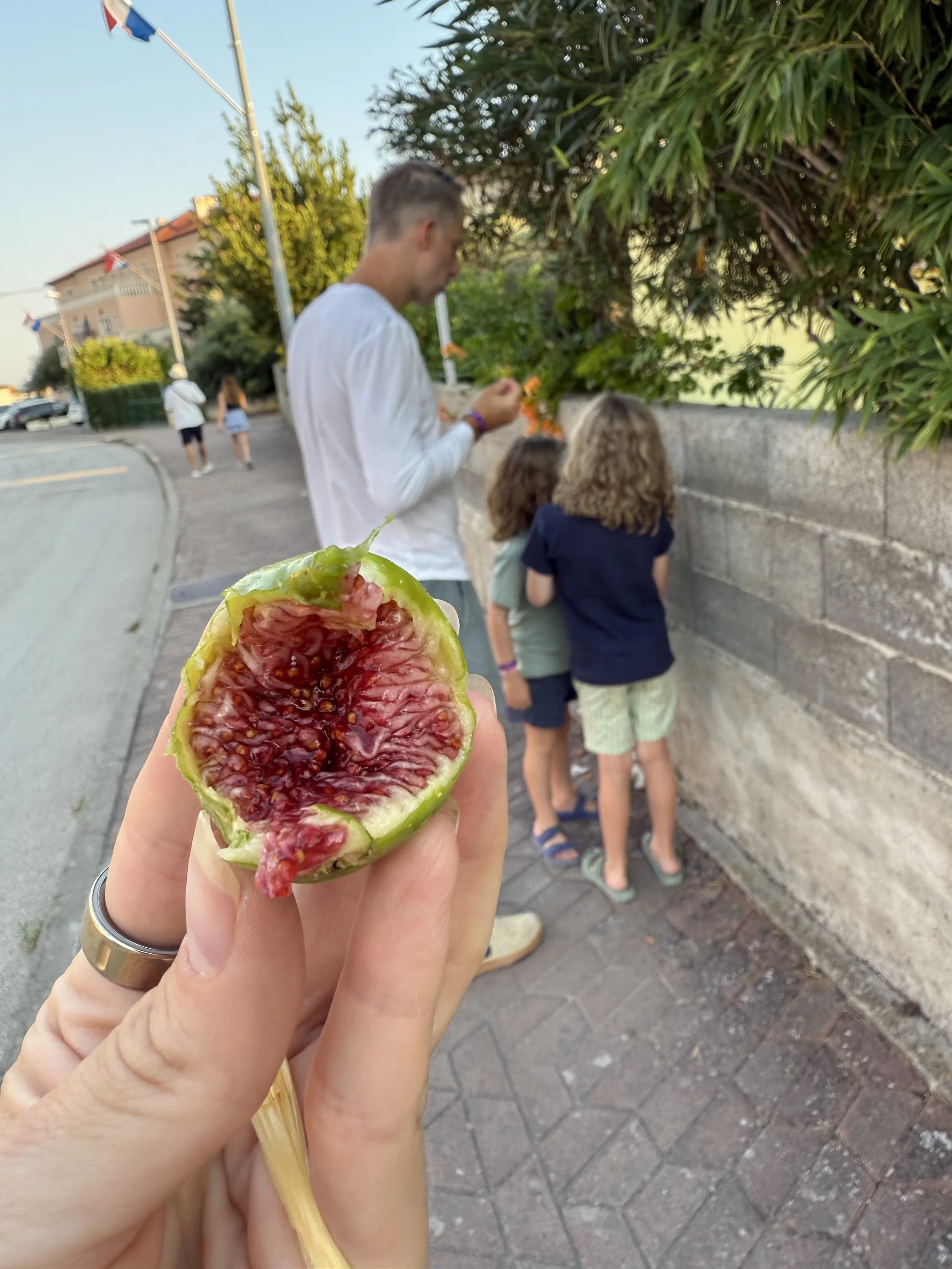 IMG_5115.jpeg