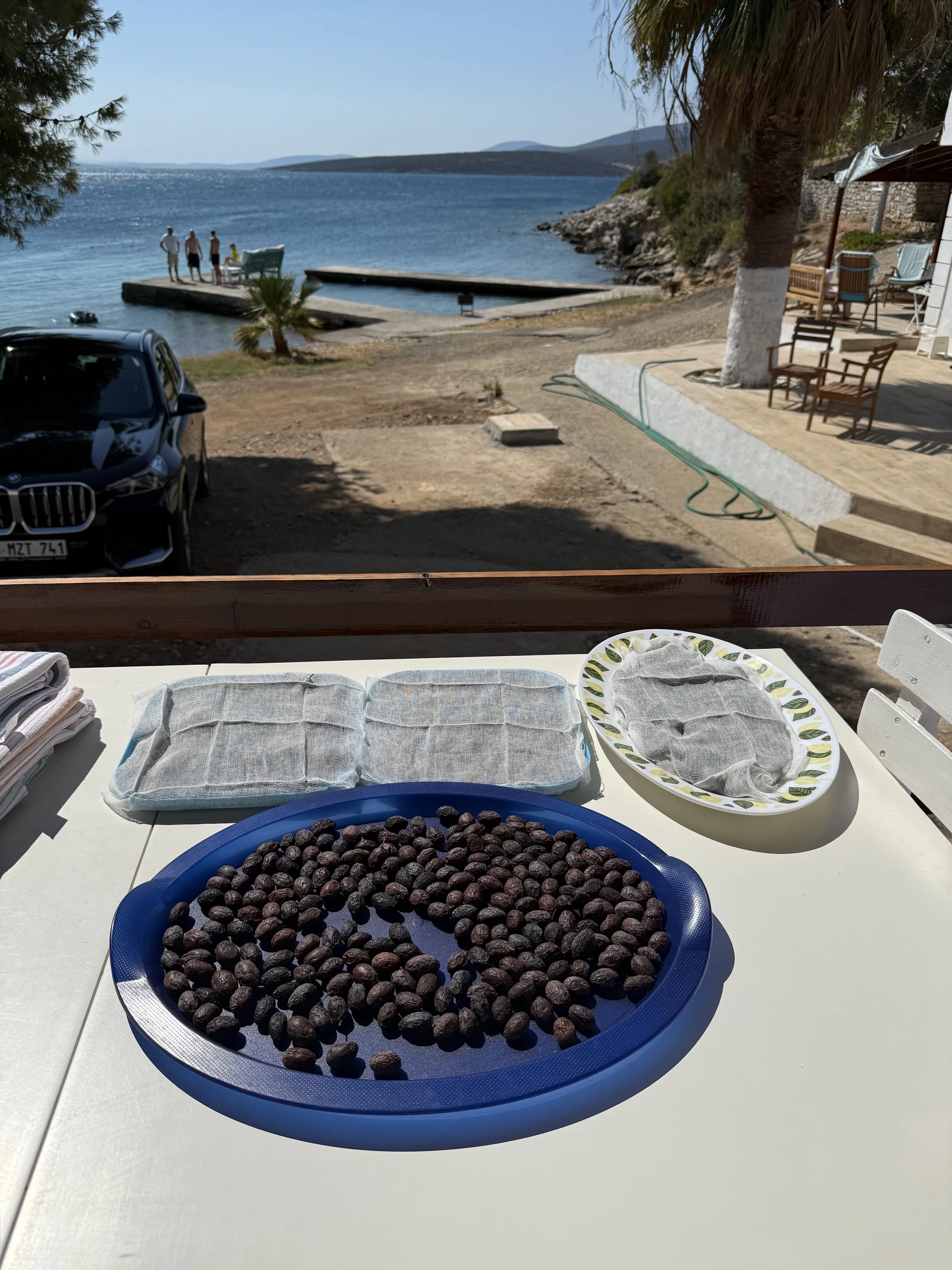 IMG_6052.jpeg