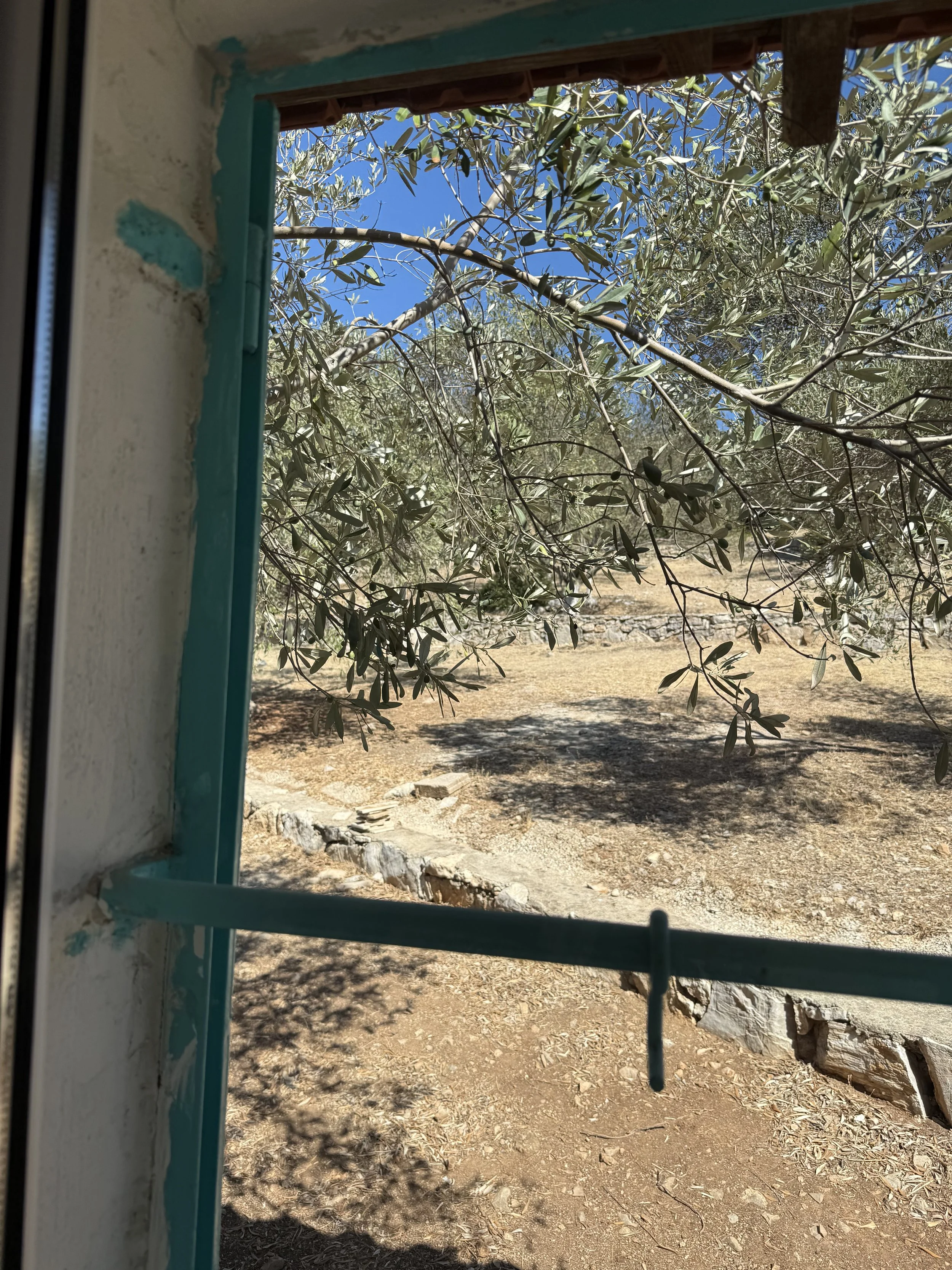 IMG_6051.jpeg