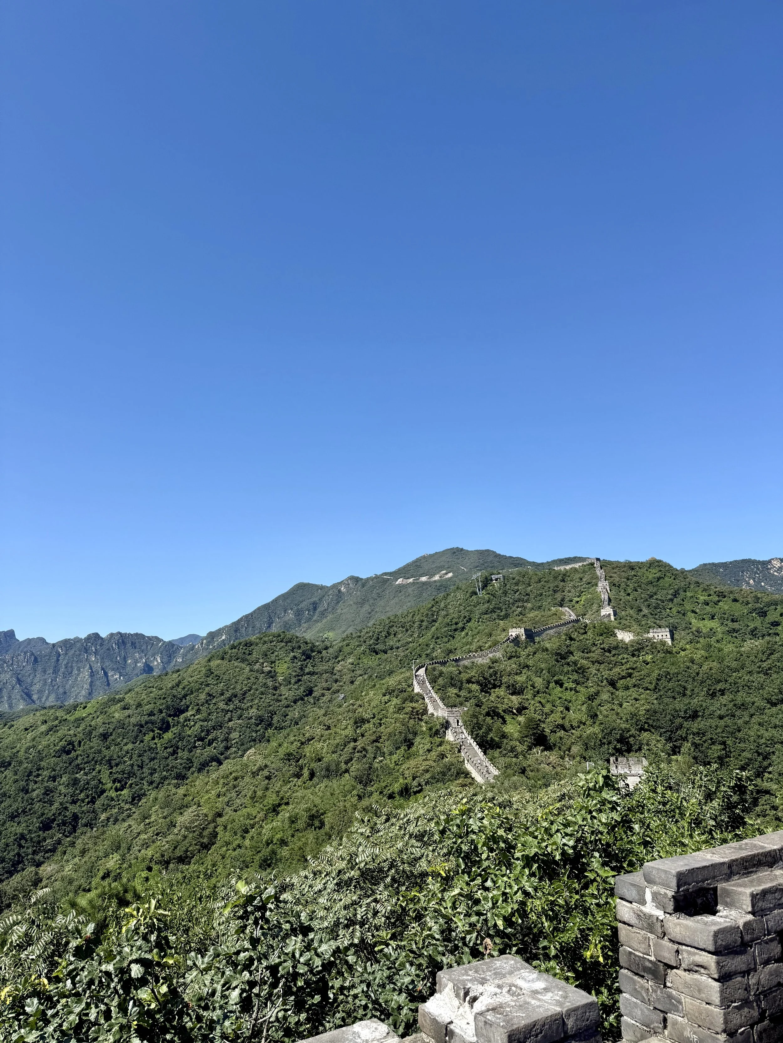 IMG_7007.jpeg