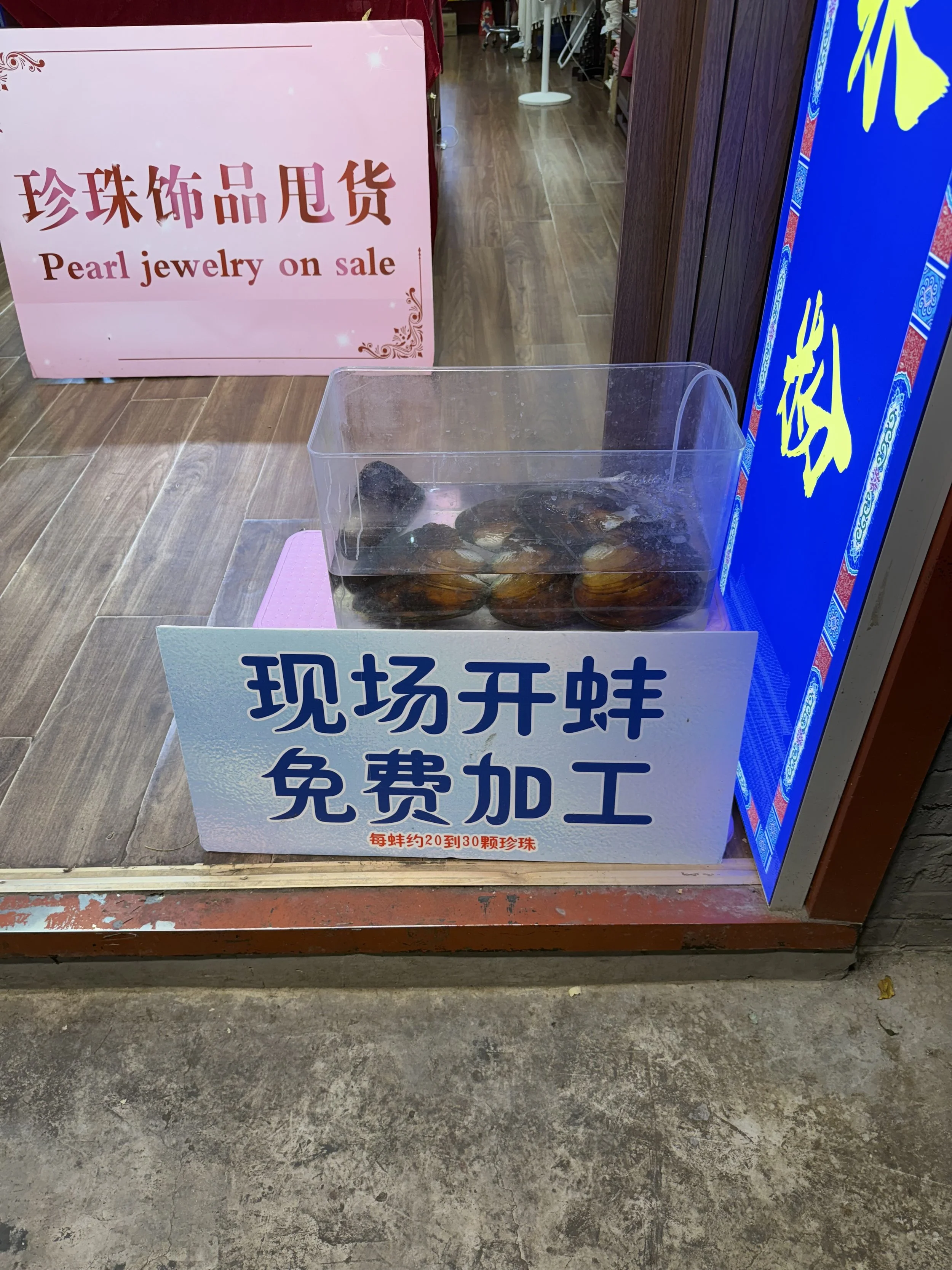 IMG_7101 2.jpeg