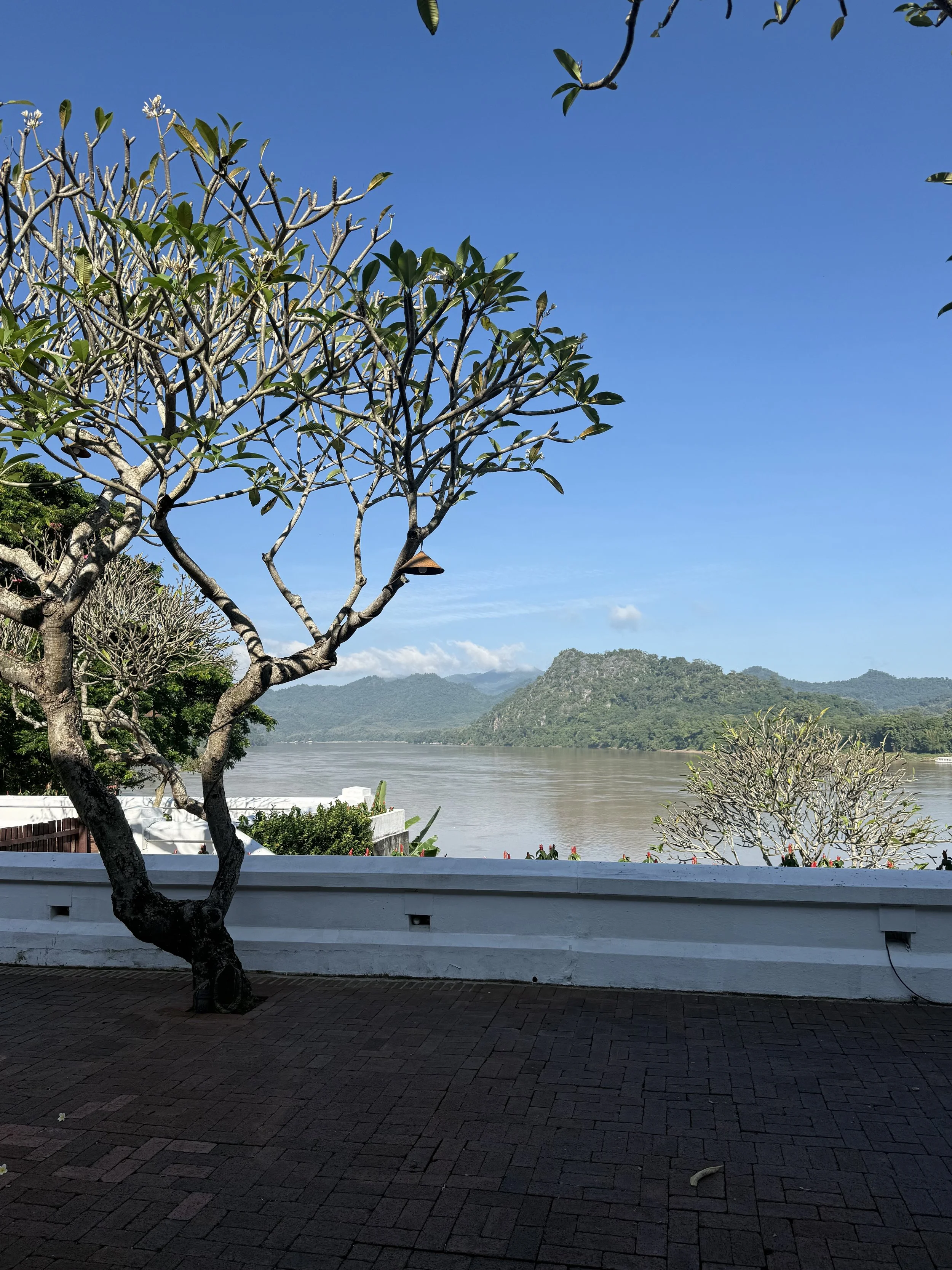 IMG_9769.jpeg