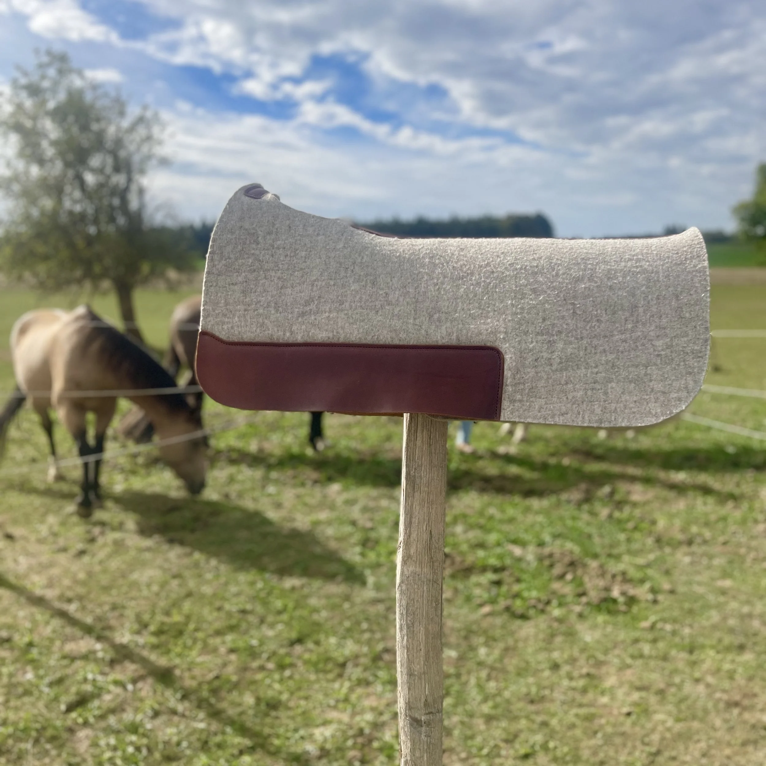 Cowboy Wool Filzpad PRO "Square"