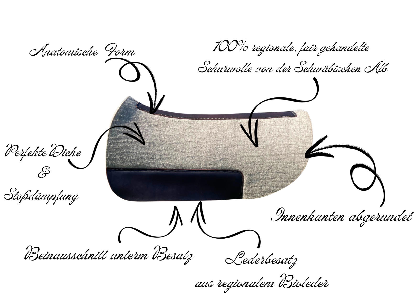 Dein Abschnittstext.png