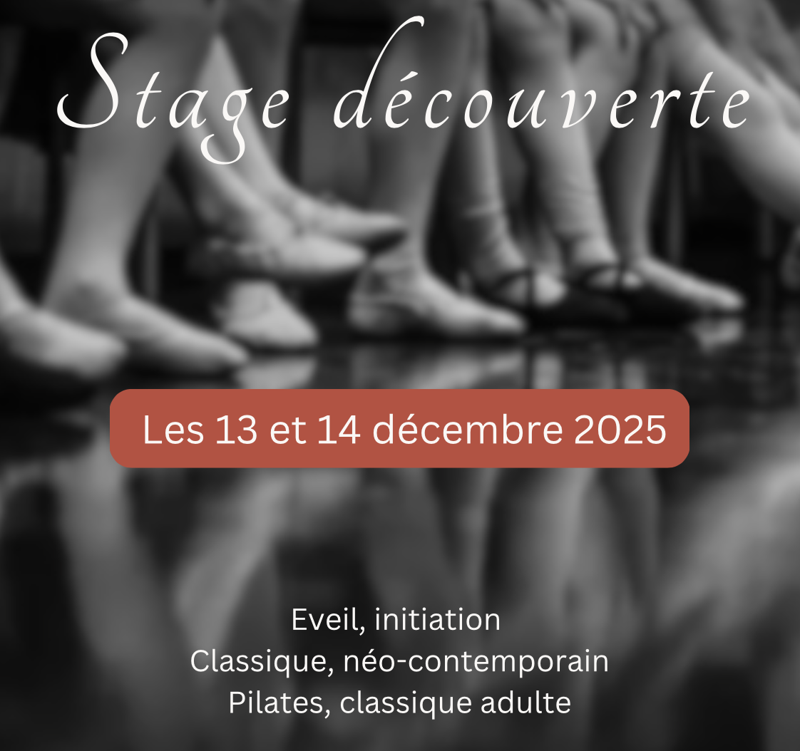 Stage découverte