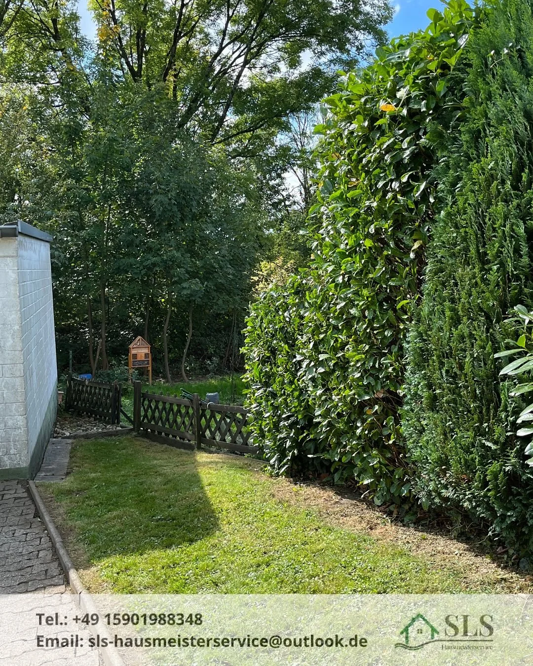 Kurz vor Wintereinsatz noch Gr&uuml;npflege betrieben🌲💚