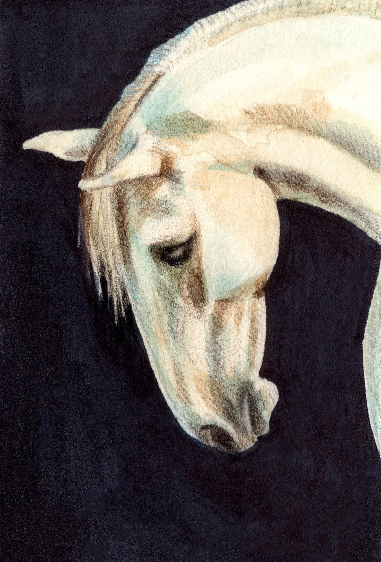 Whitehorse.jpg