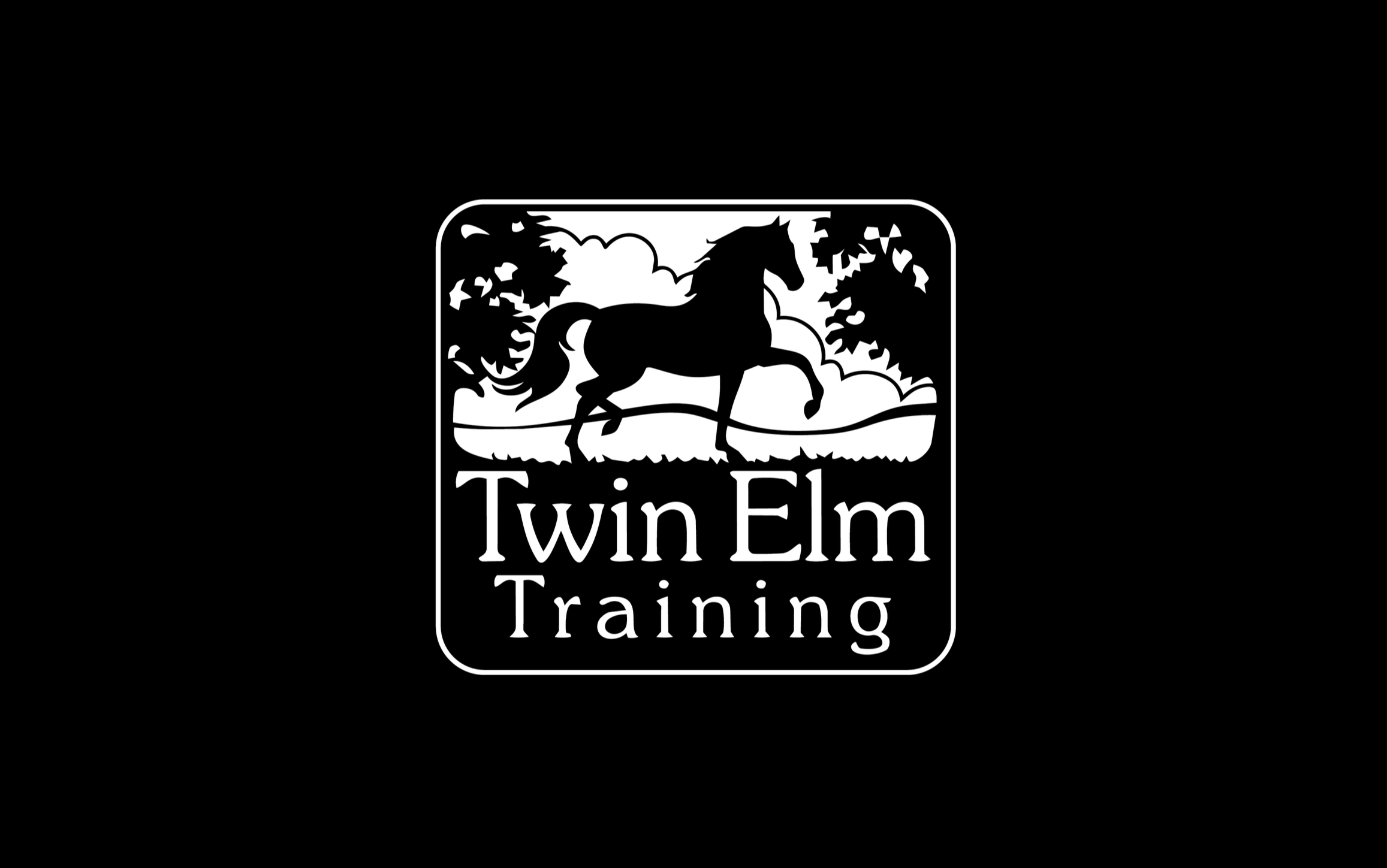 Twin Elm