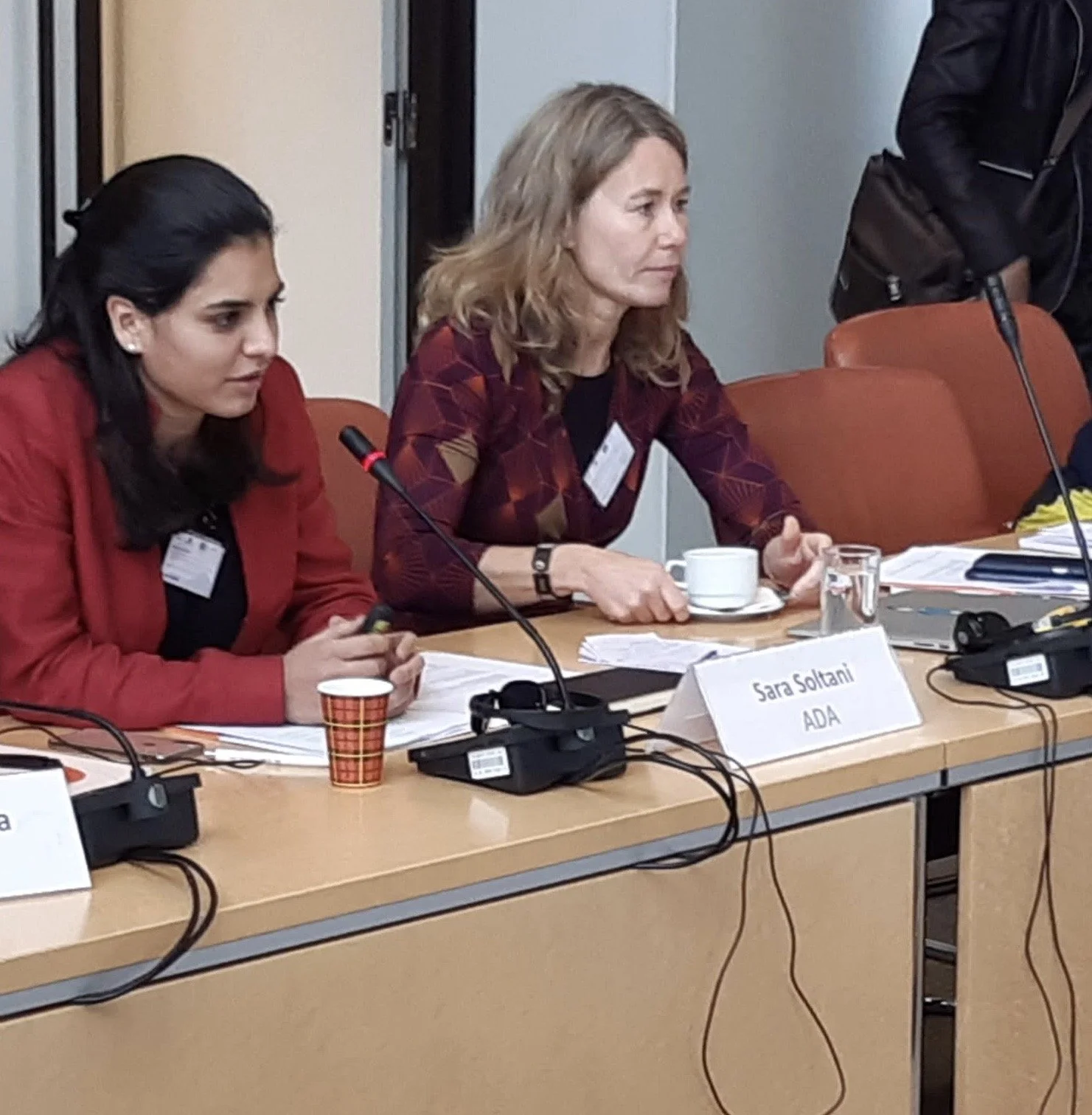 European Disability Forum 2019.jpeg