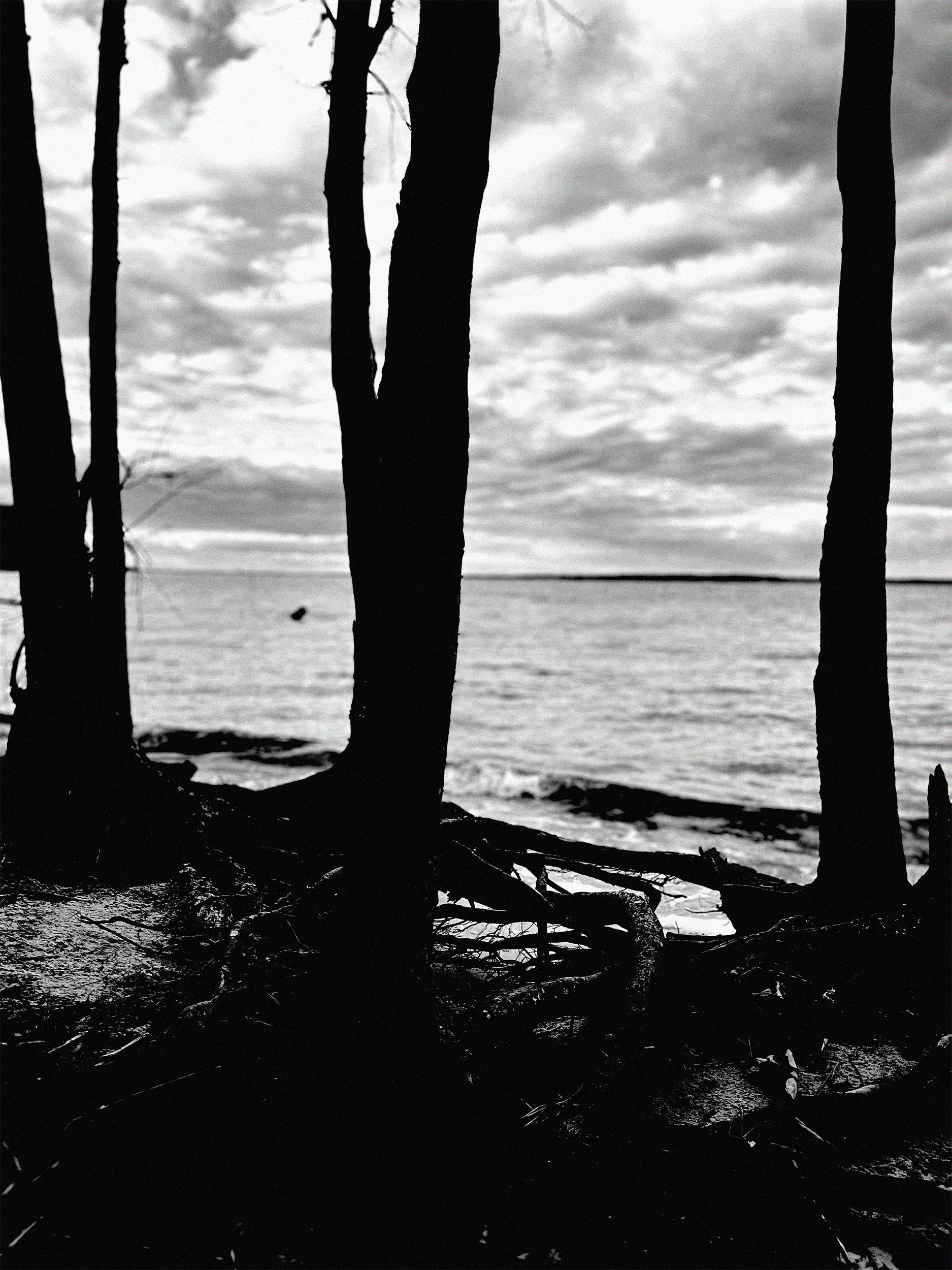It looks like there's something weird in the water. Image of York River, Williamsburg, VA taken in November 21, 2024.