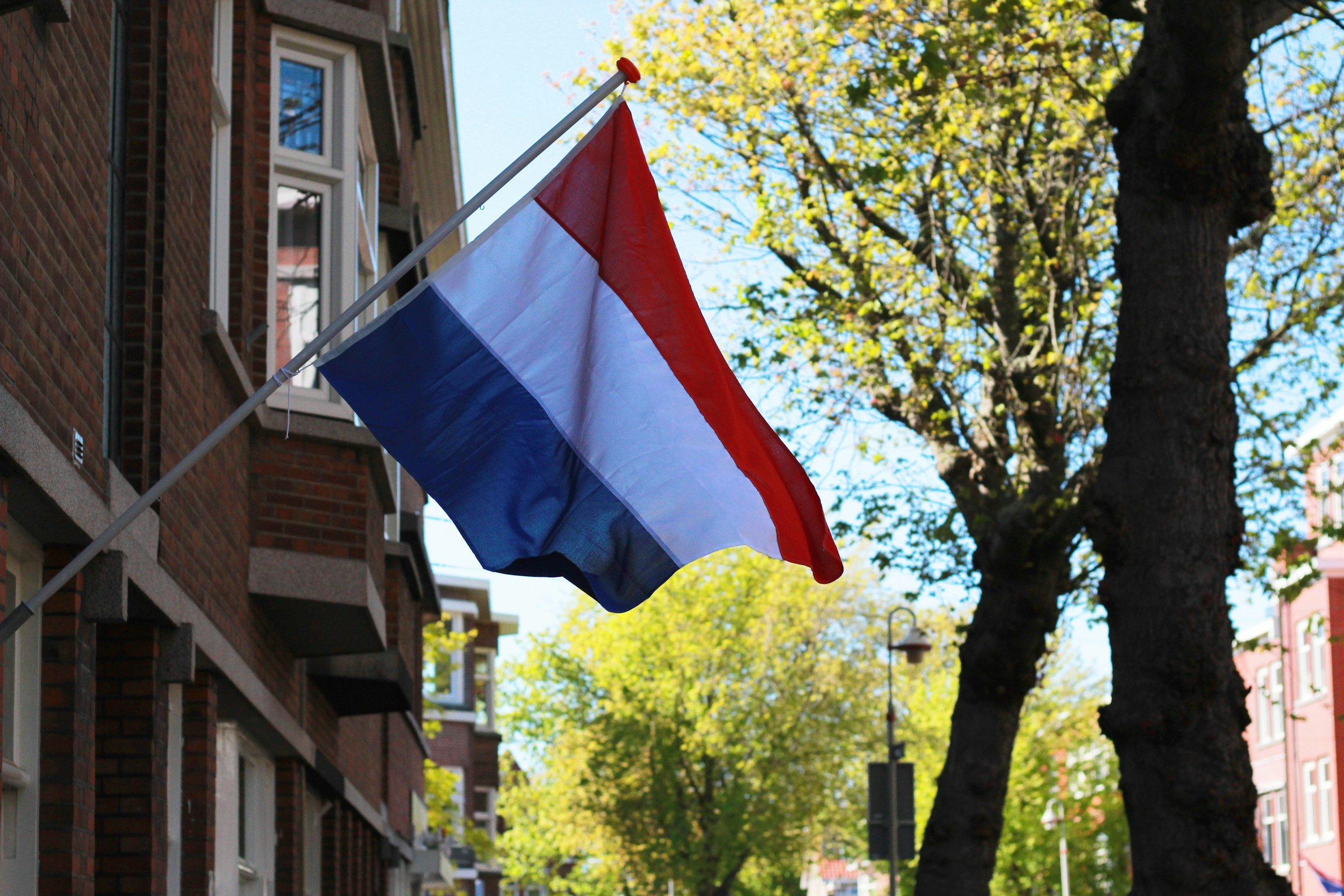 Why The Netherlands Is A Great Option For Higher Education