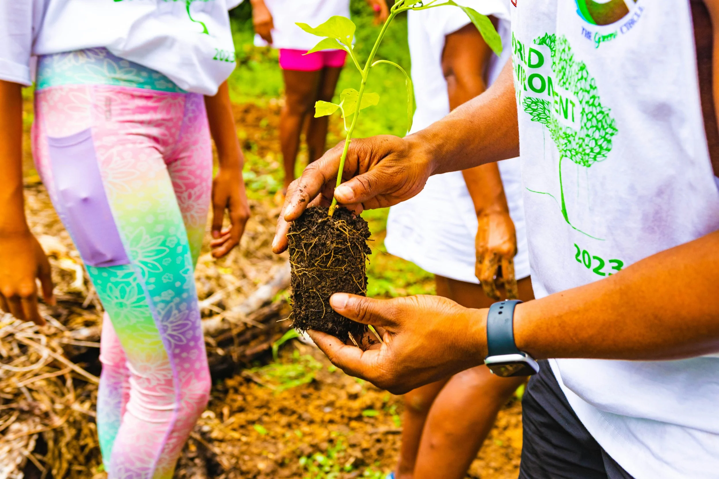 Volunteer tree planting