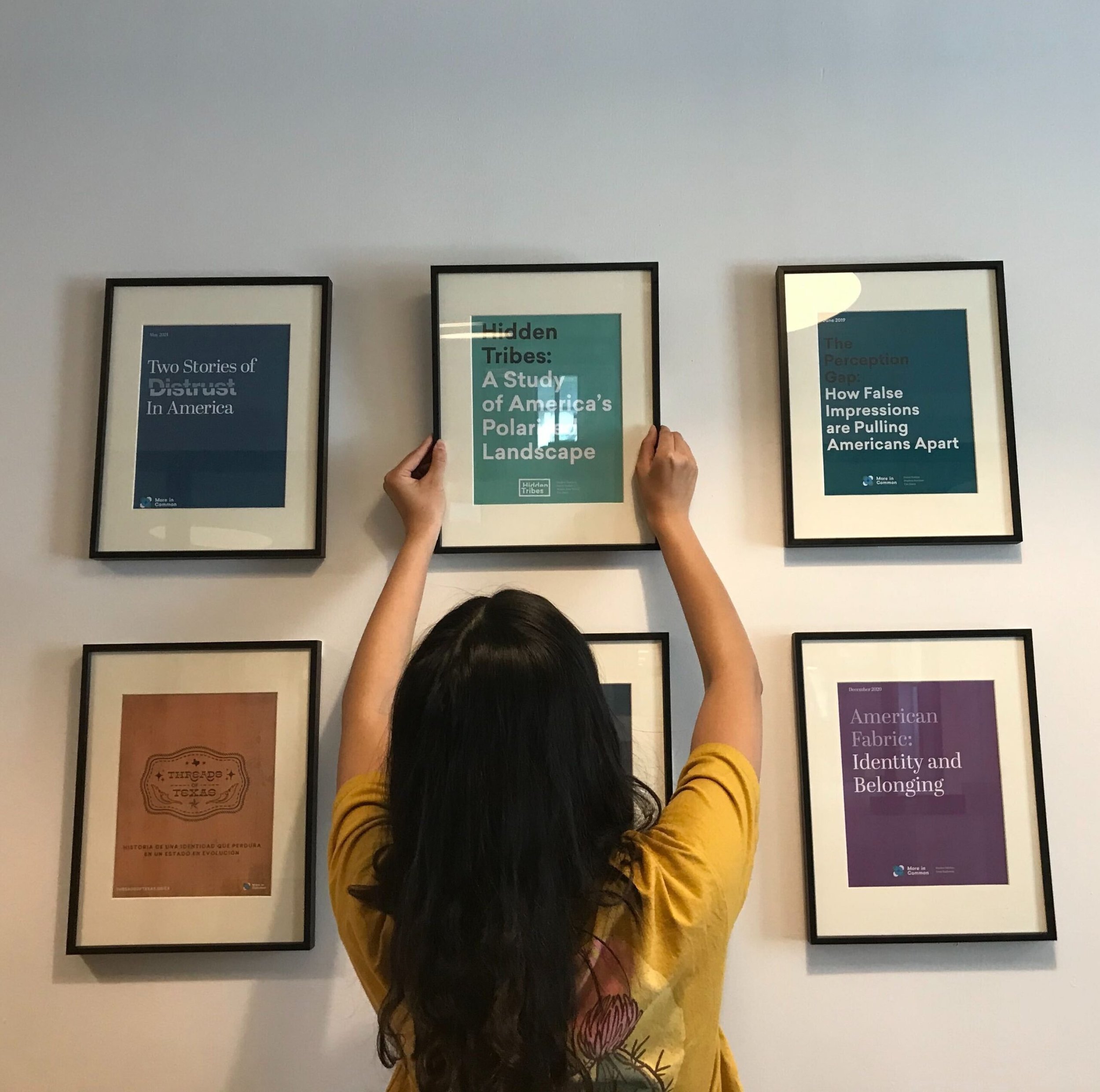 Project Spotlight: More in Common