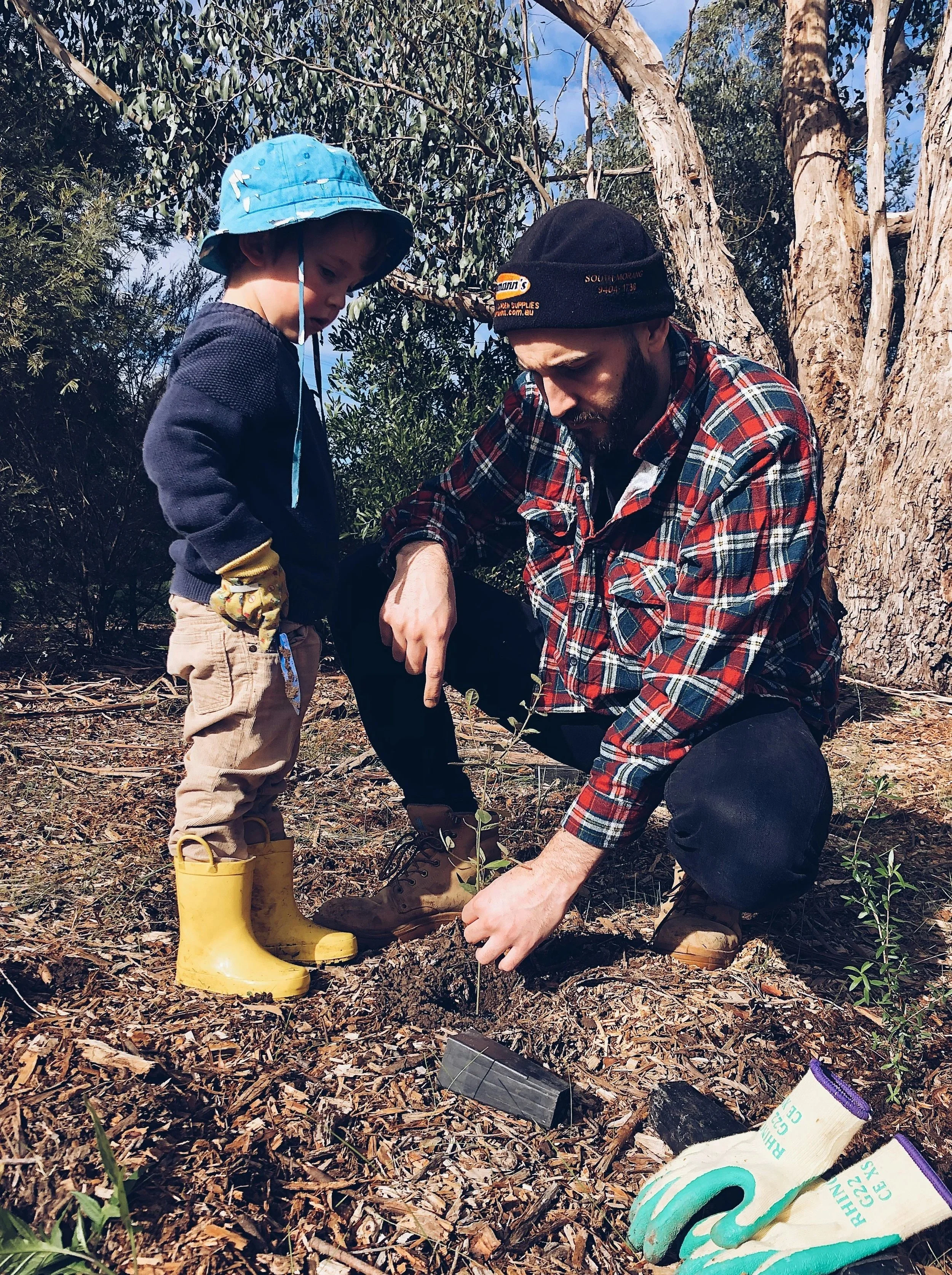 Man and boy planting a tree