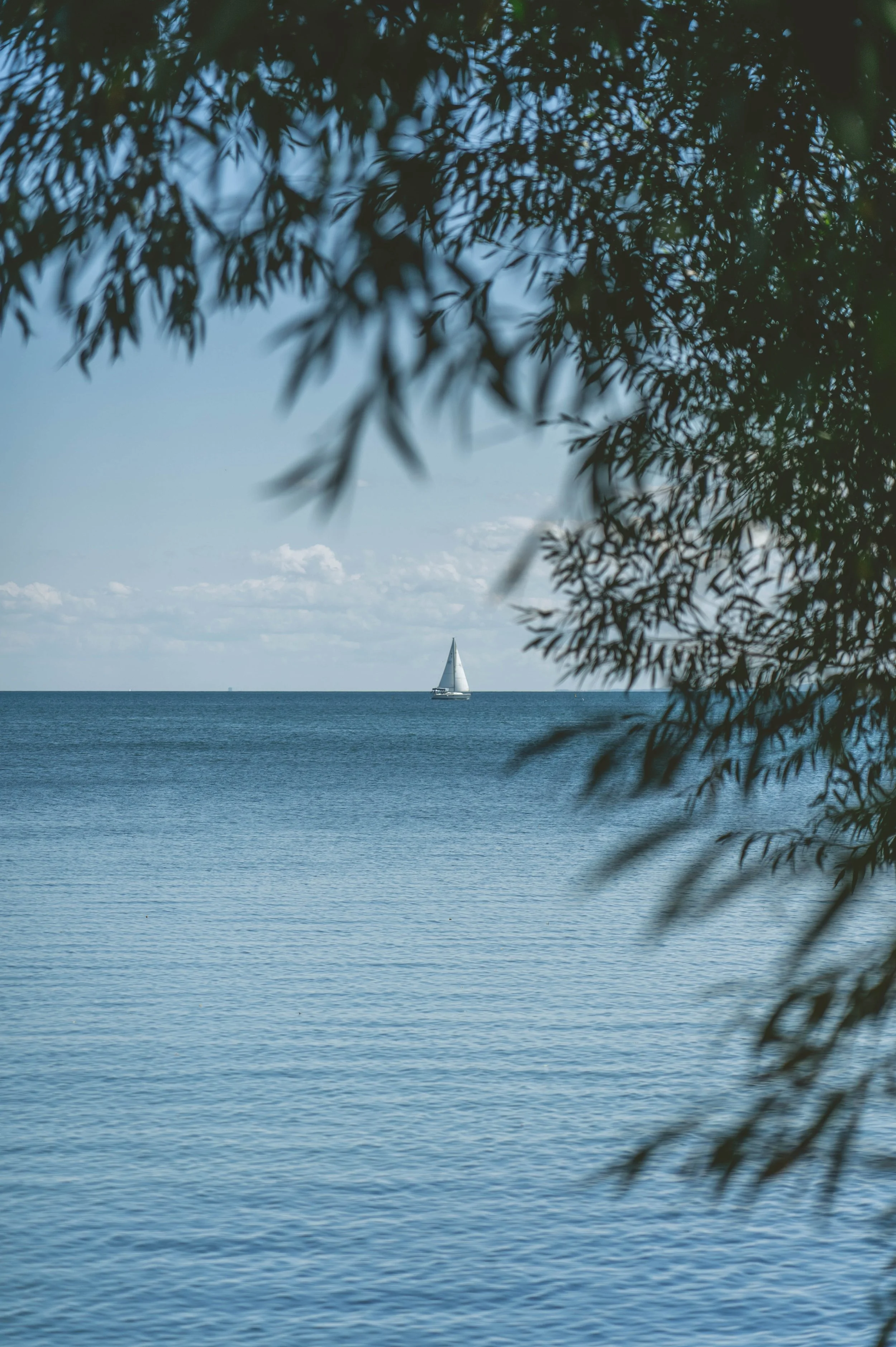 Bronte-South-Shell-Park-6.jpg