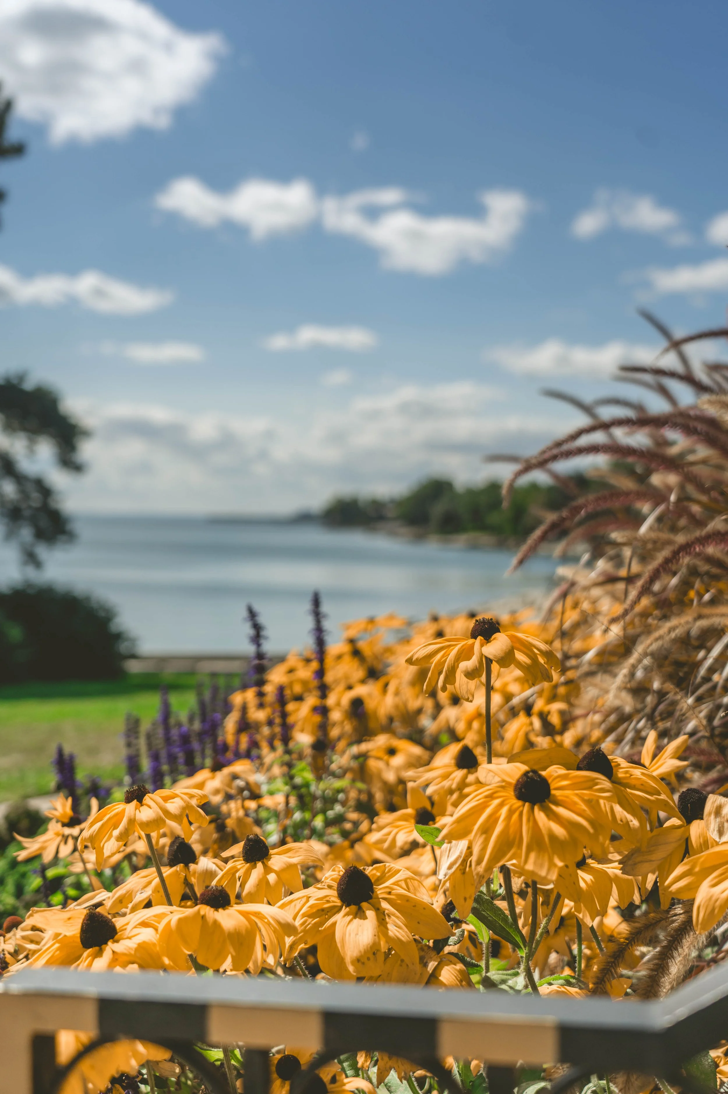 Gairloch-Gardens-17.jpg