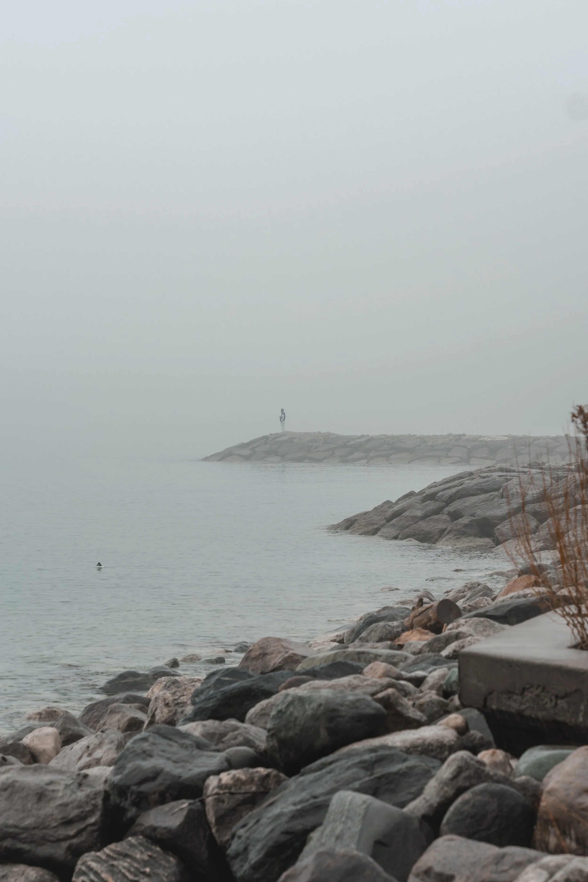 Edgemere-Promenade-3.jpg