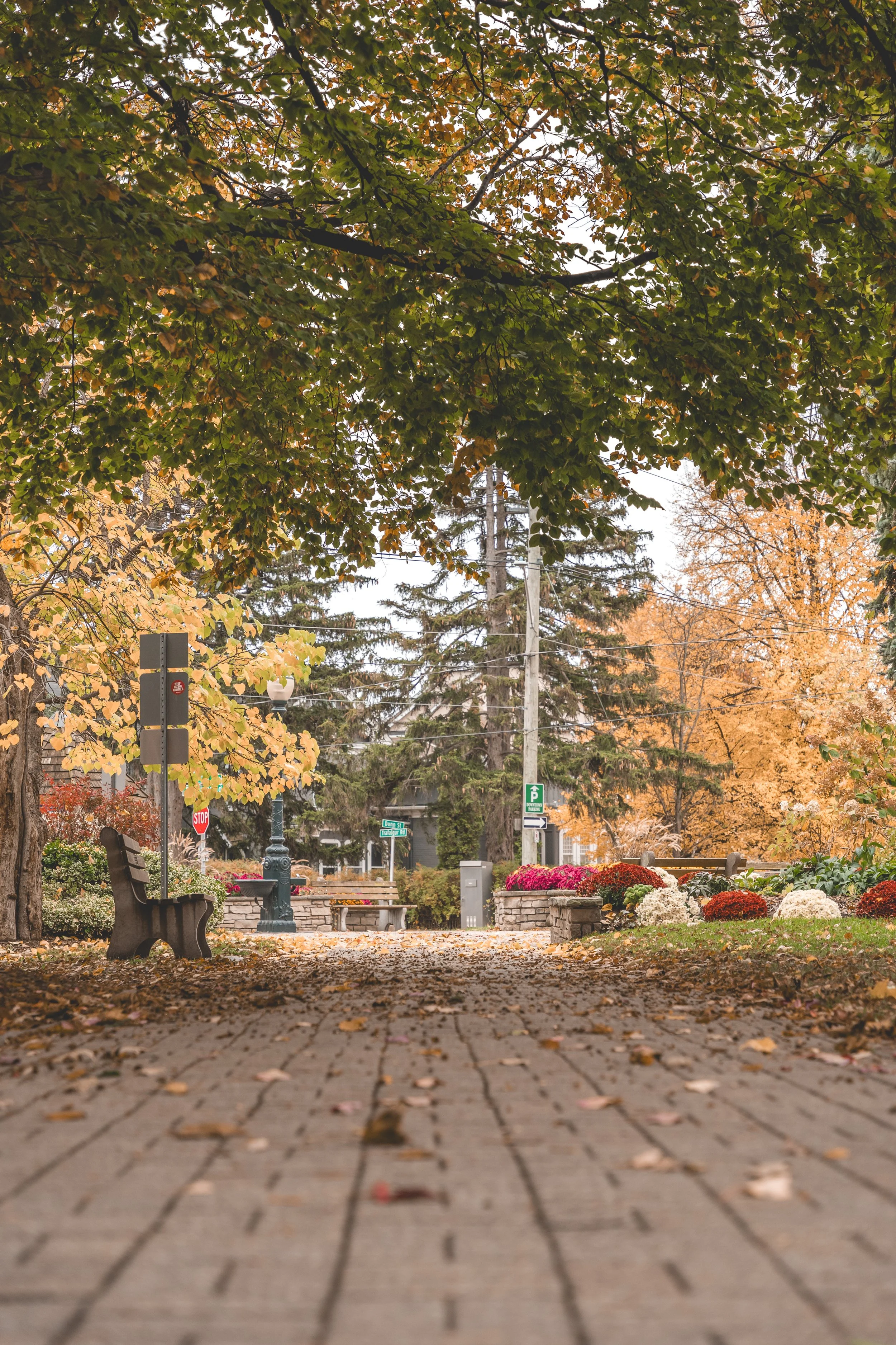 Georges-Square-1.jpg