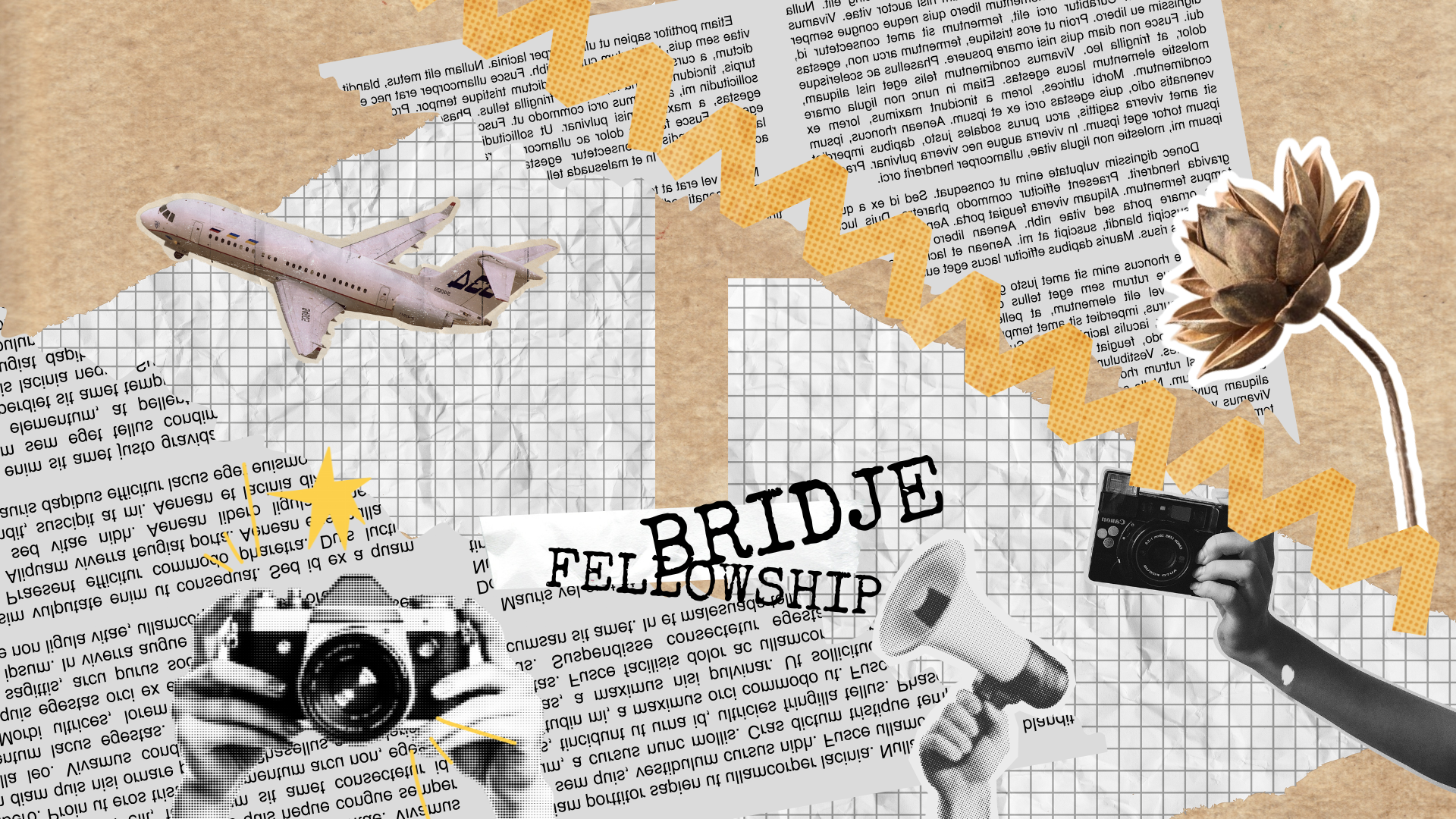 FELLOWSHIPS — CRGI