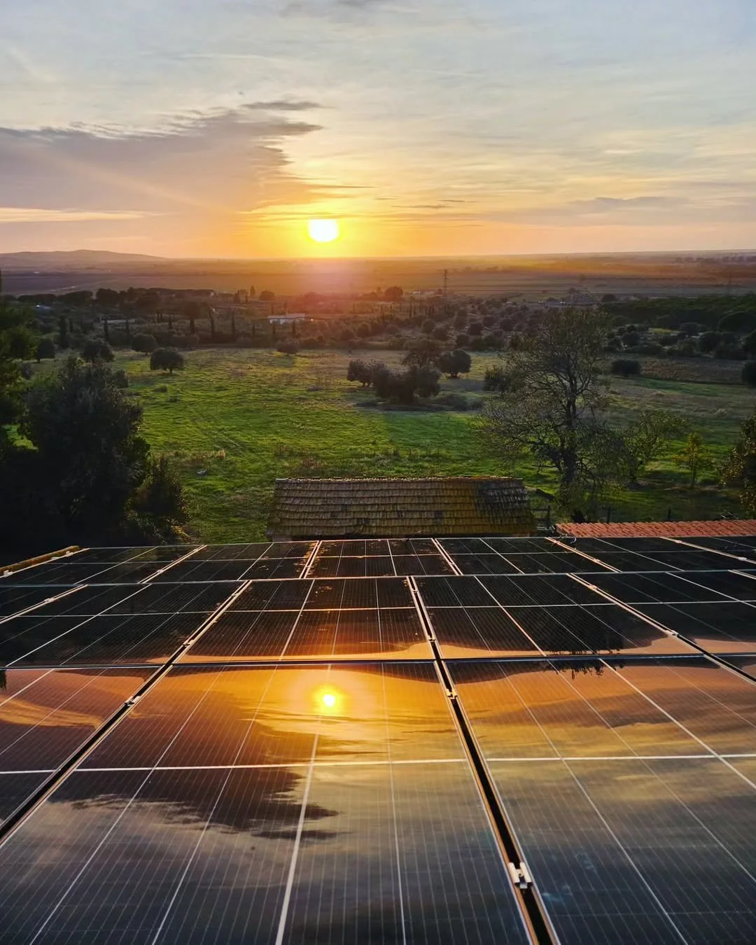 Solar panels reflecting a sunset over a green landscape with trees and fields.