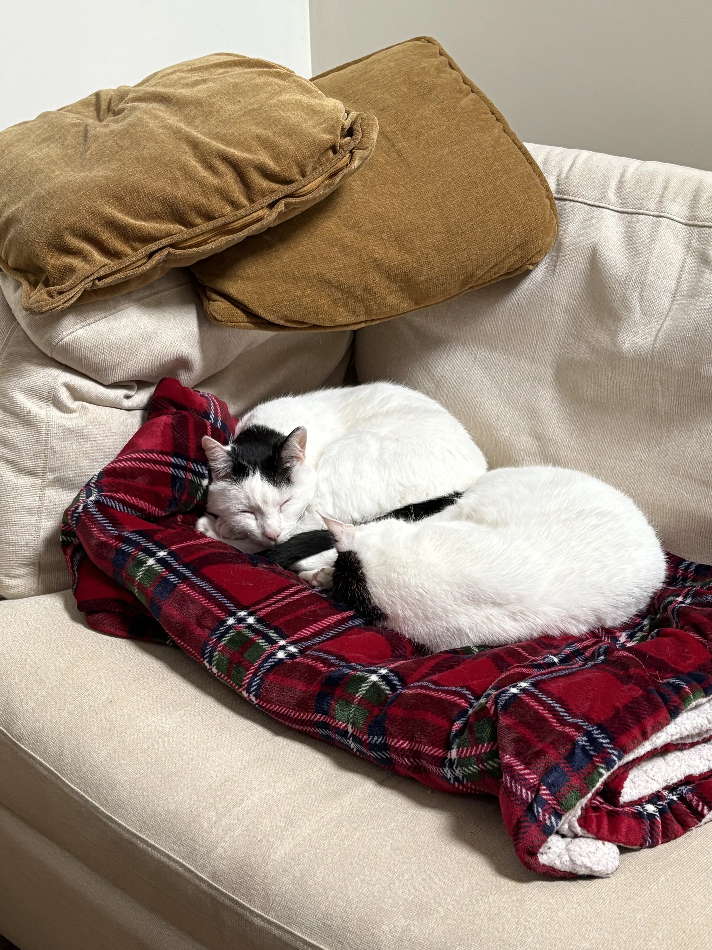 Why Pausing Can Be the Most Productive Thing You Do