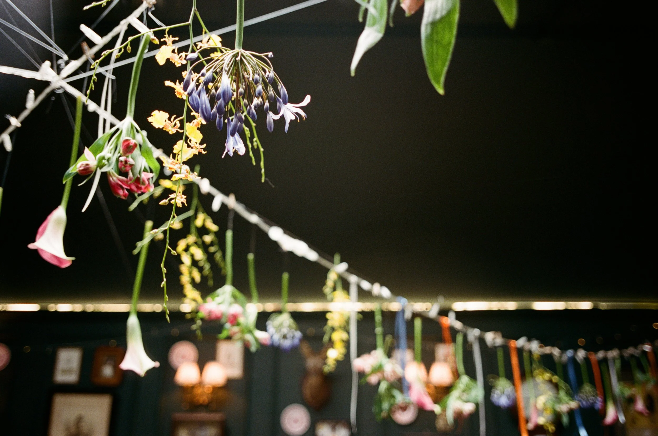 C&T-35mm-film-wedding-lisajanephoto-093 1.jpg