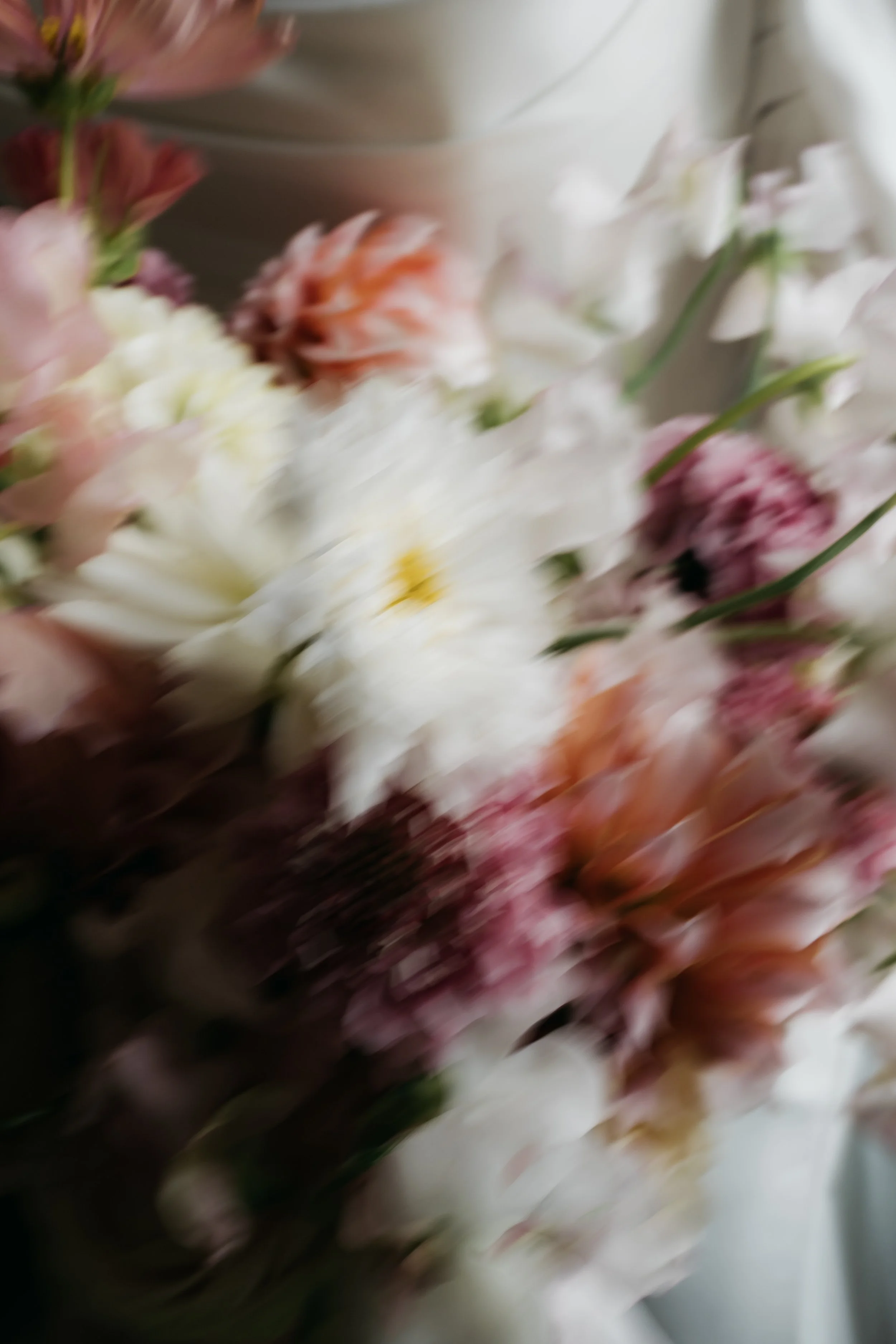 Rebeccawalters_SashaConor_Artistselection-153.jpg