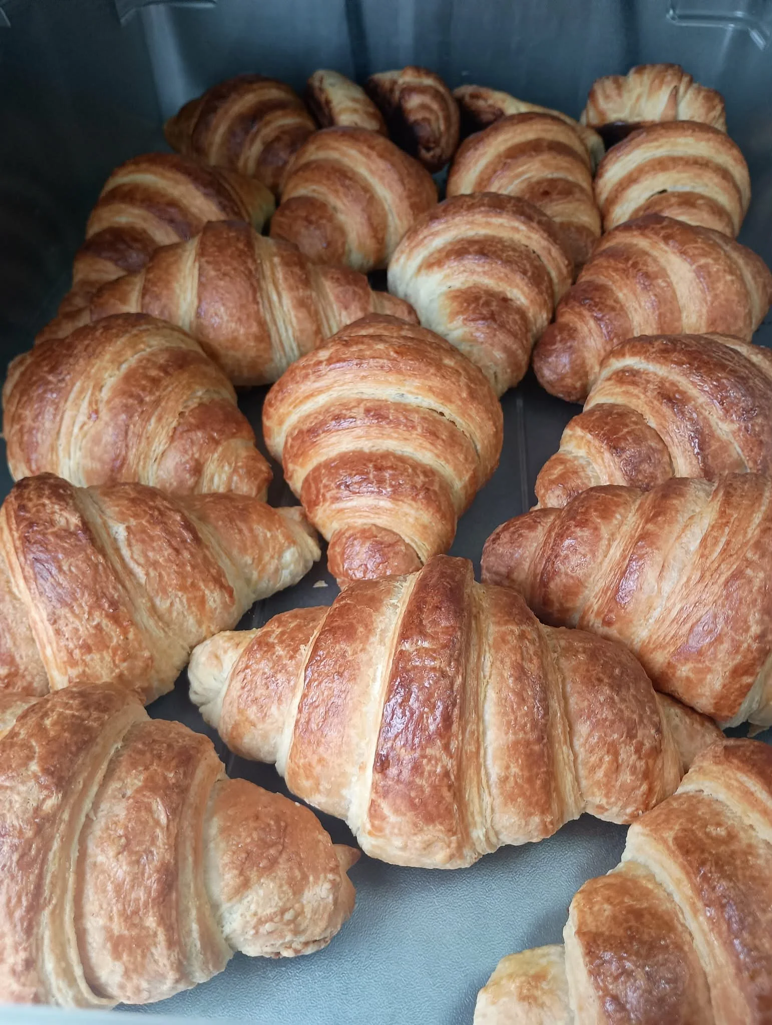 Homemade butter croissants