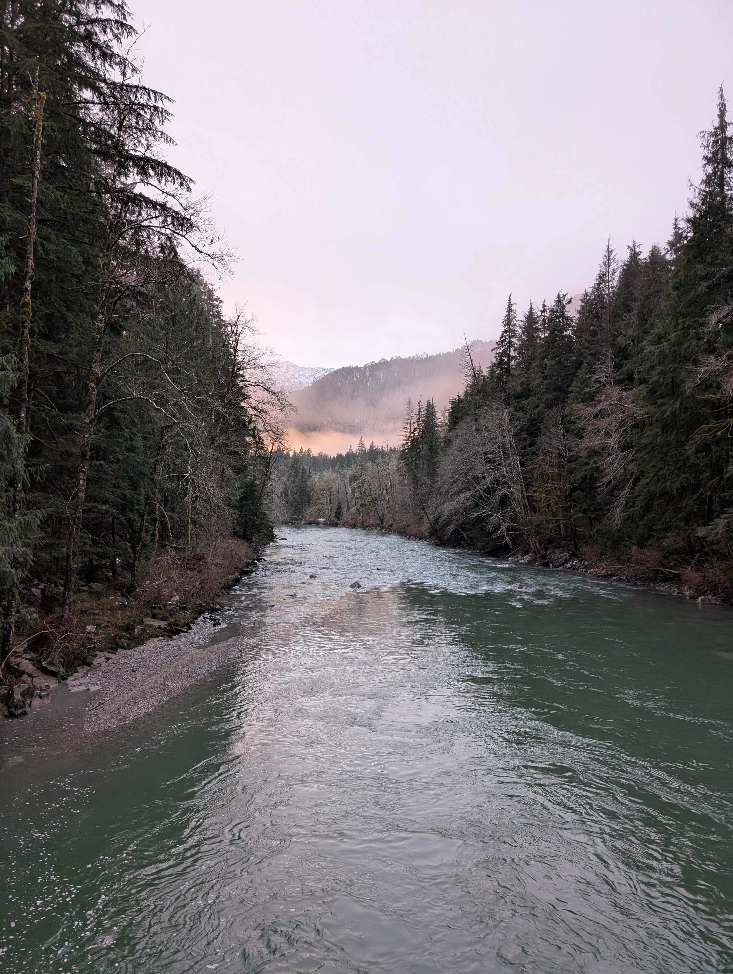 Joy takes asking my soul what she needs. . .