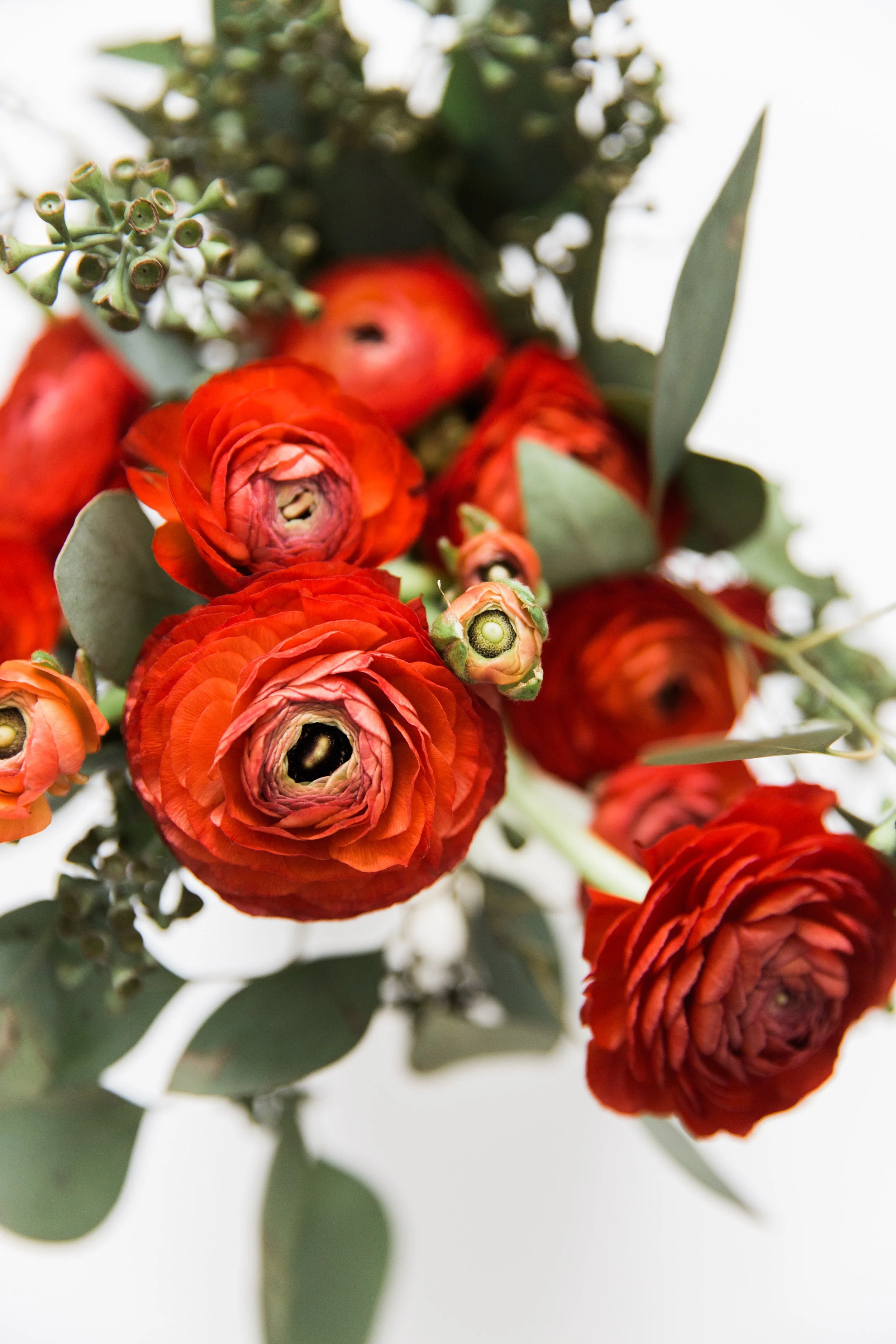 Ranunculus