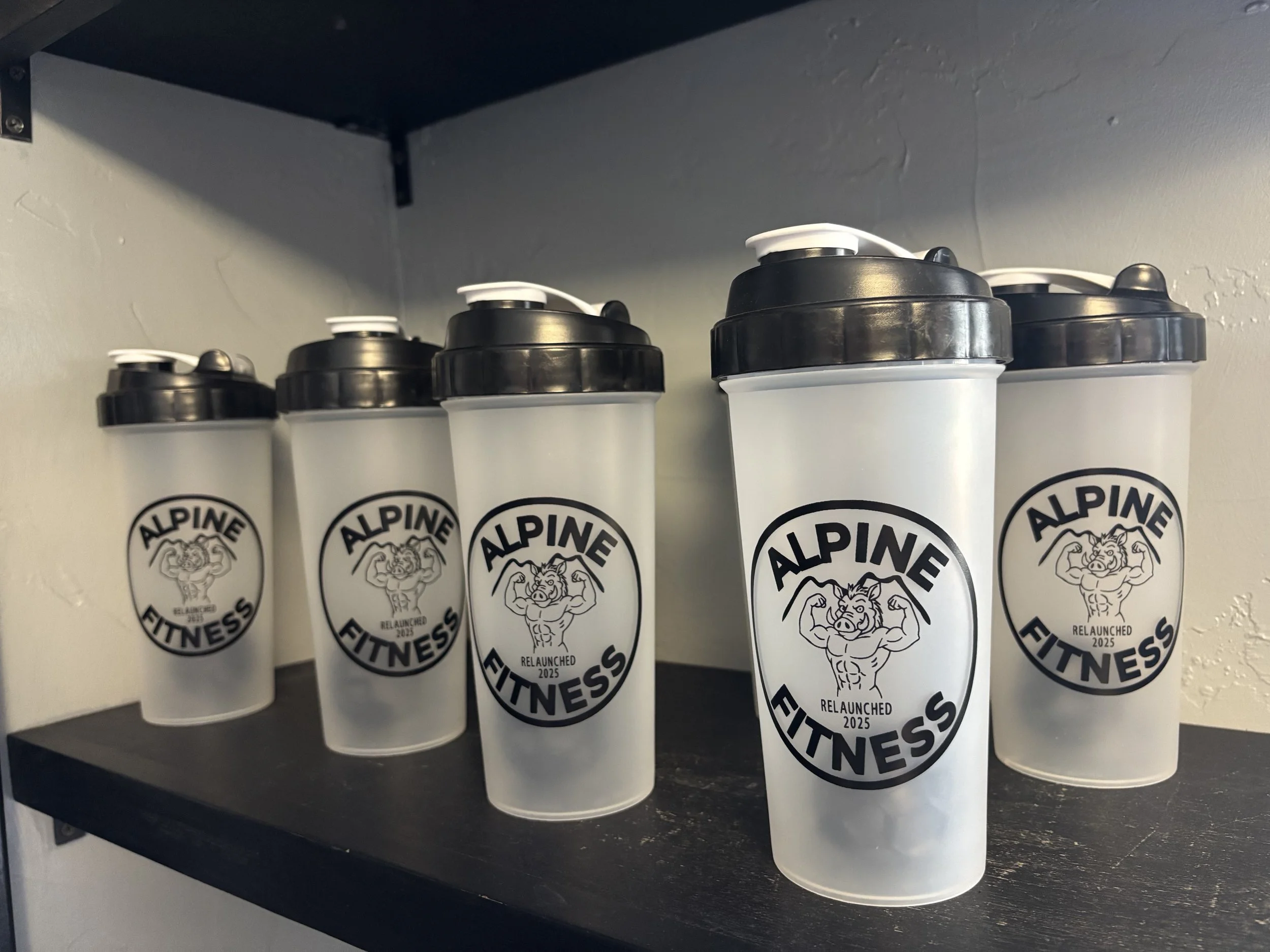 Shaker bottle.jpg