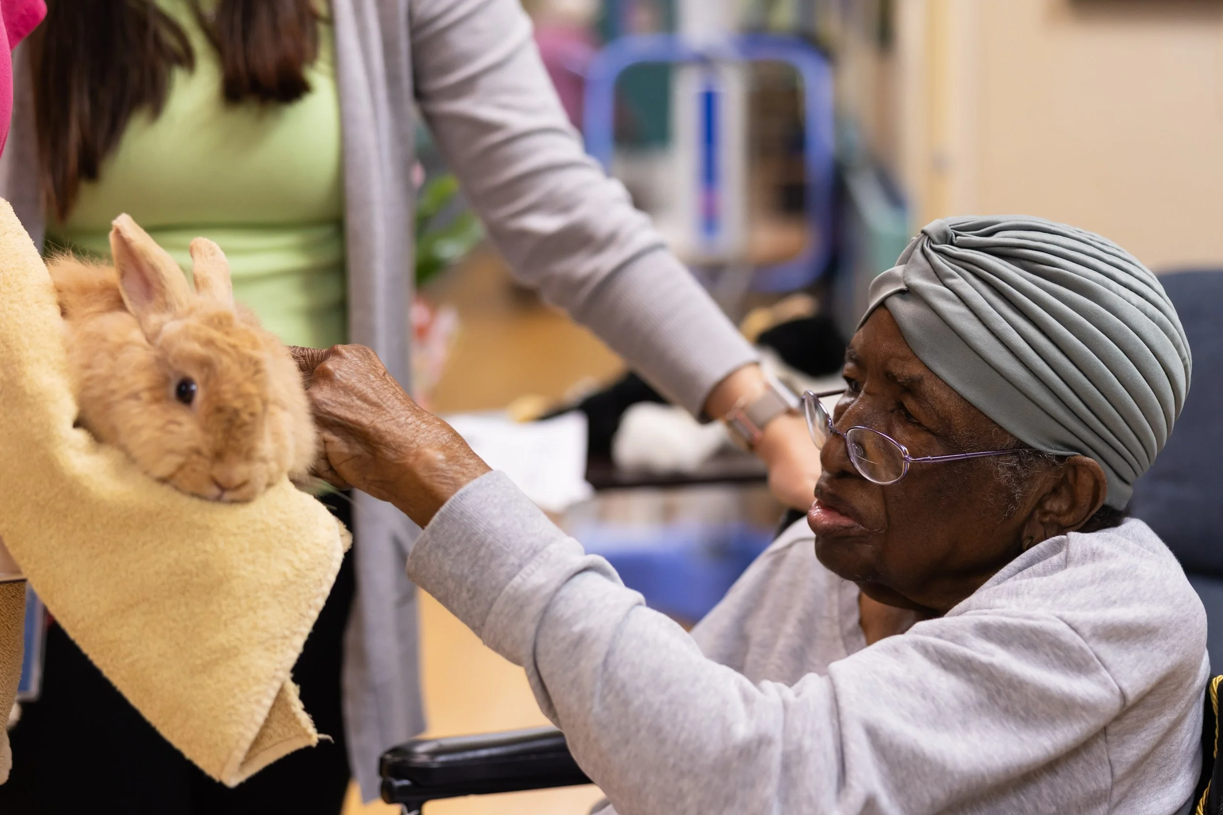 An elderly woman in a grey headscarf and glasses holds a fluffy brown rabbit wrapped in a yellow towel, with a person in the background reaching towards her.