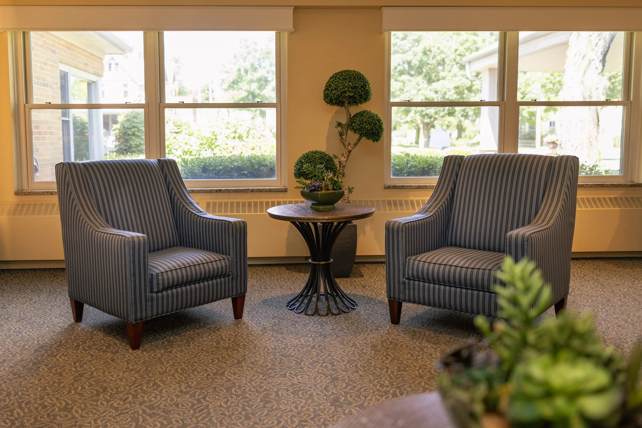 A cozy sitting area with two striped armchairs facing each other, a small round table with a potted plant between them, and large windows revealing greenery outside.