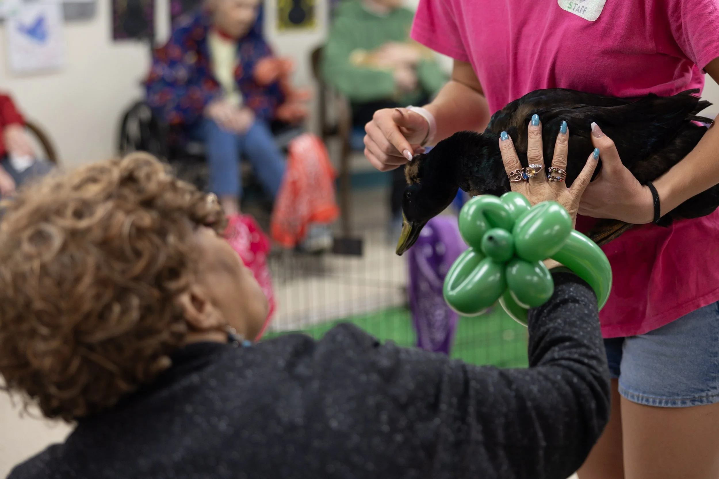 A woman holding a black duck decorated with green balloon flowers at an indoor event, with an audience of elderly people in the background.