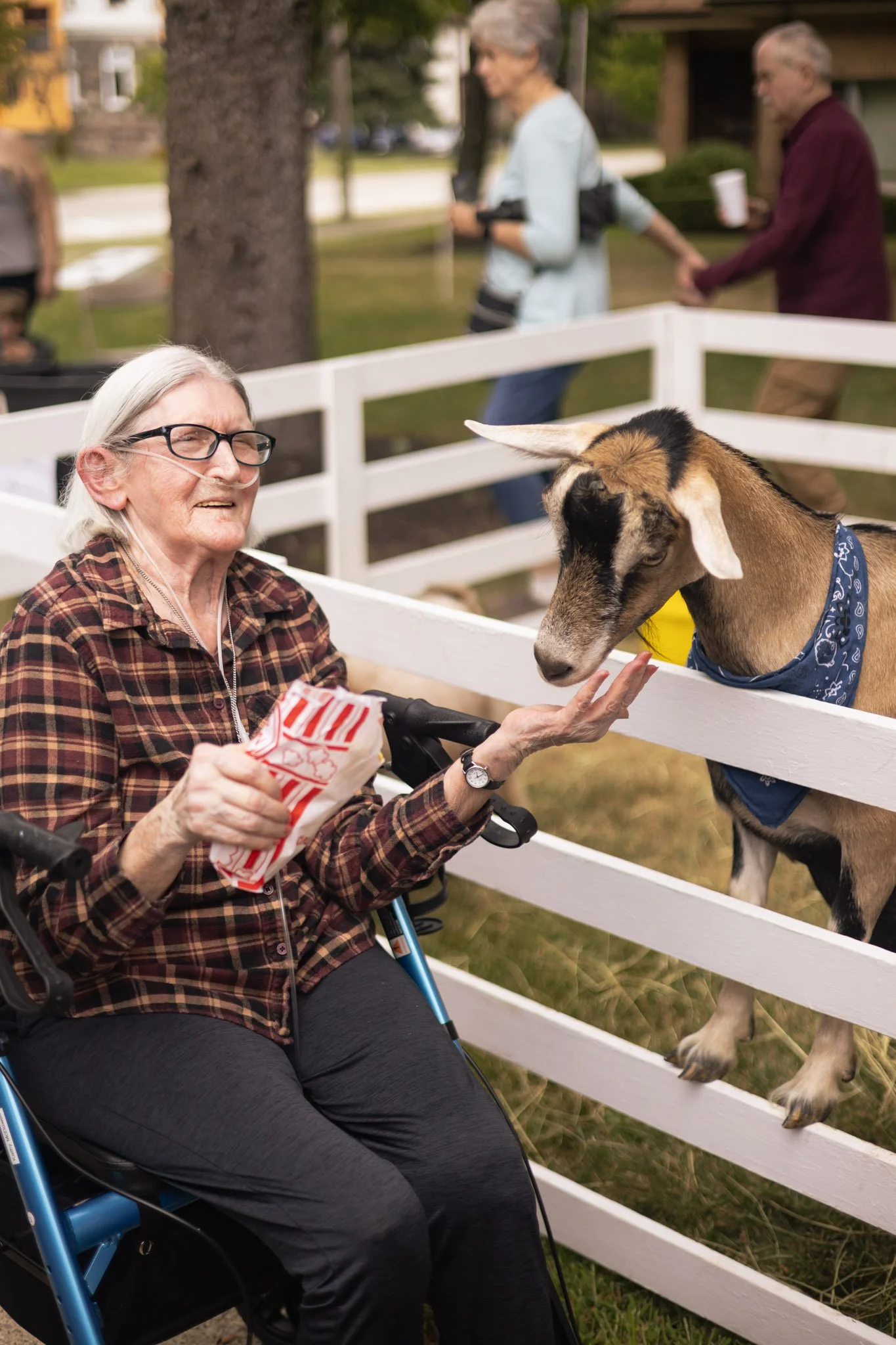 An elderly woman in a wheelchair feeds a goat through a wooden fence at a petting zoo. She is holding a bag and wearing a plaid shirt and glasses. The goat is wearing a bandana. Other people are in the background.