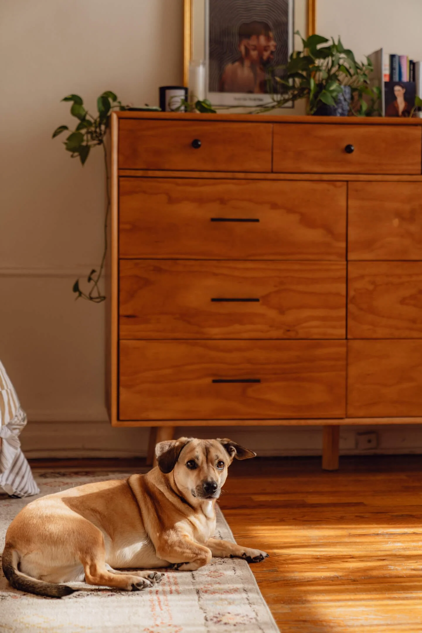 The Dresser, custom furniture made by Until Brooklyn
