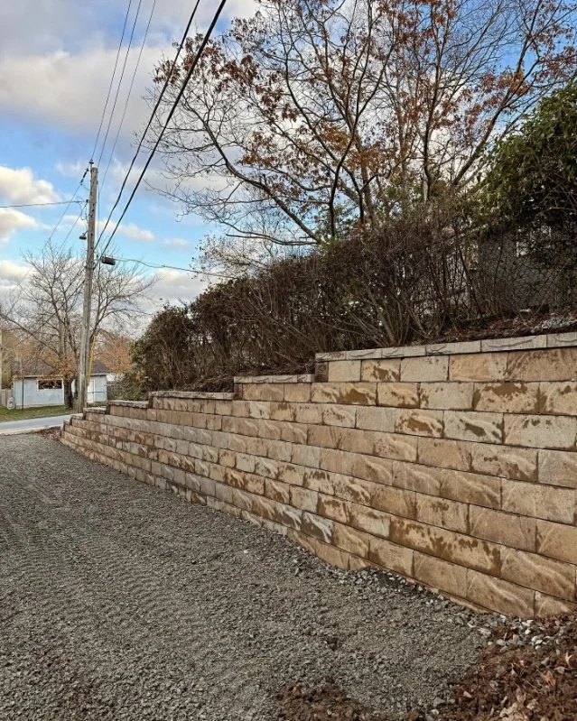Stone retaining wall with bare trees and shrubs