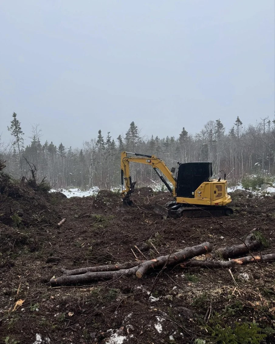 Yellow excavator on a cleared forest area with snow and scattered logs, surrounded by trees.