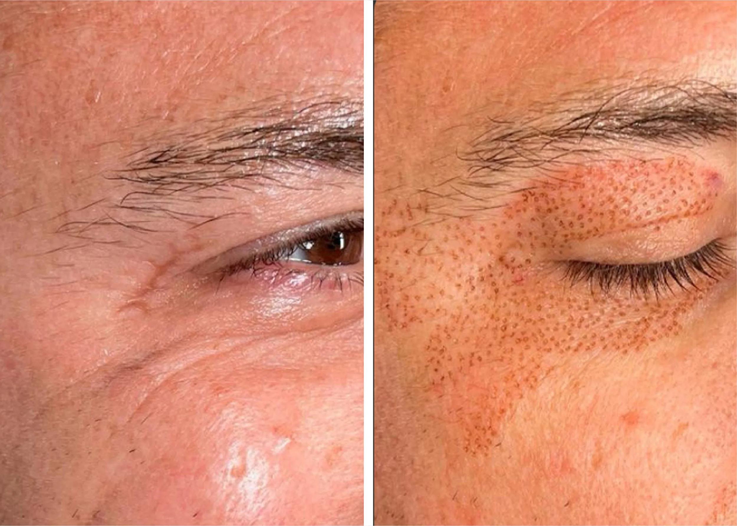 Artboard 1 copy 5.jpg