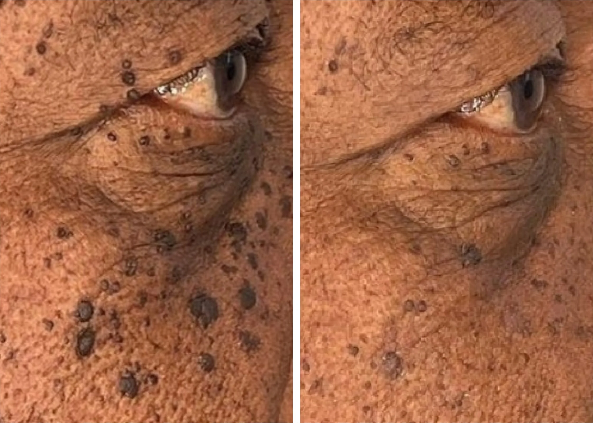 Artboard 1 copy 10.jpg