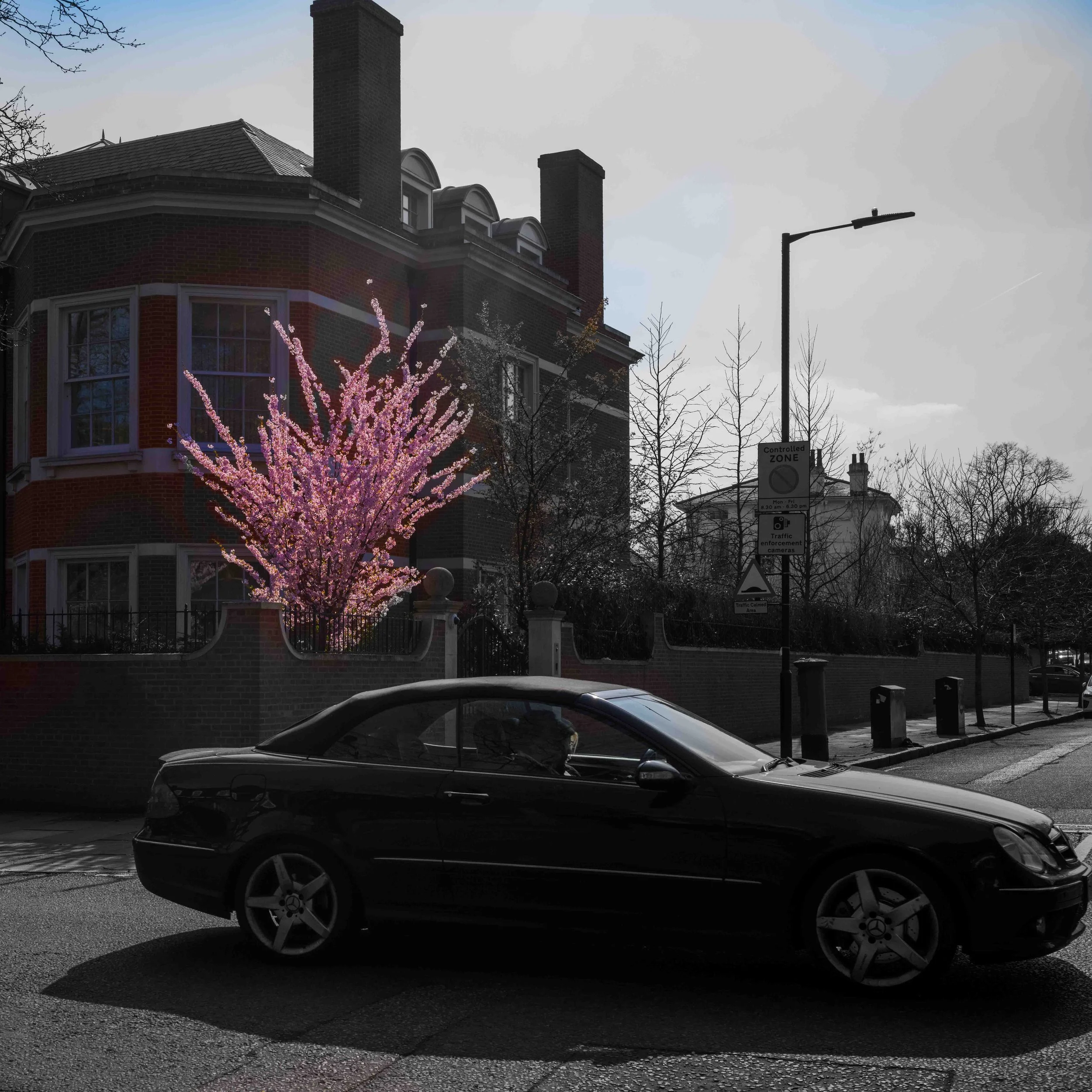 L1001746.jpg