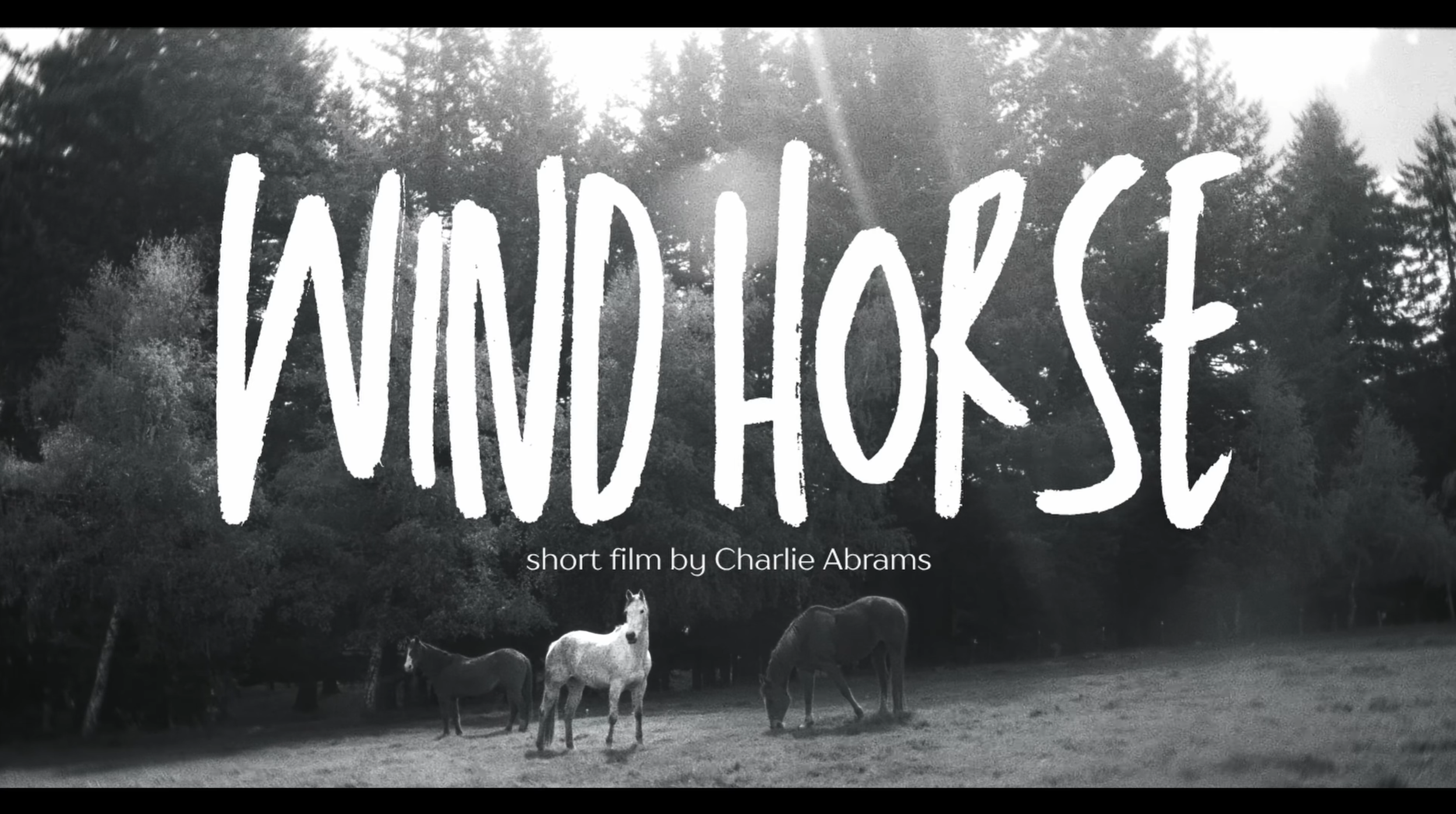 Portrait of the Wind Horse Coffee