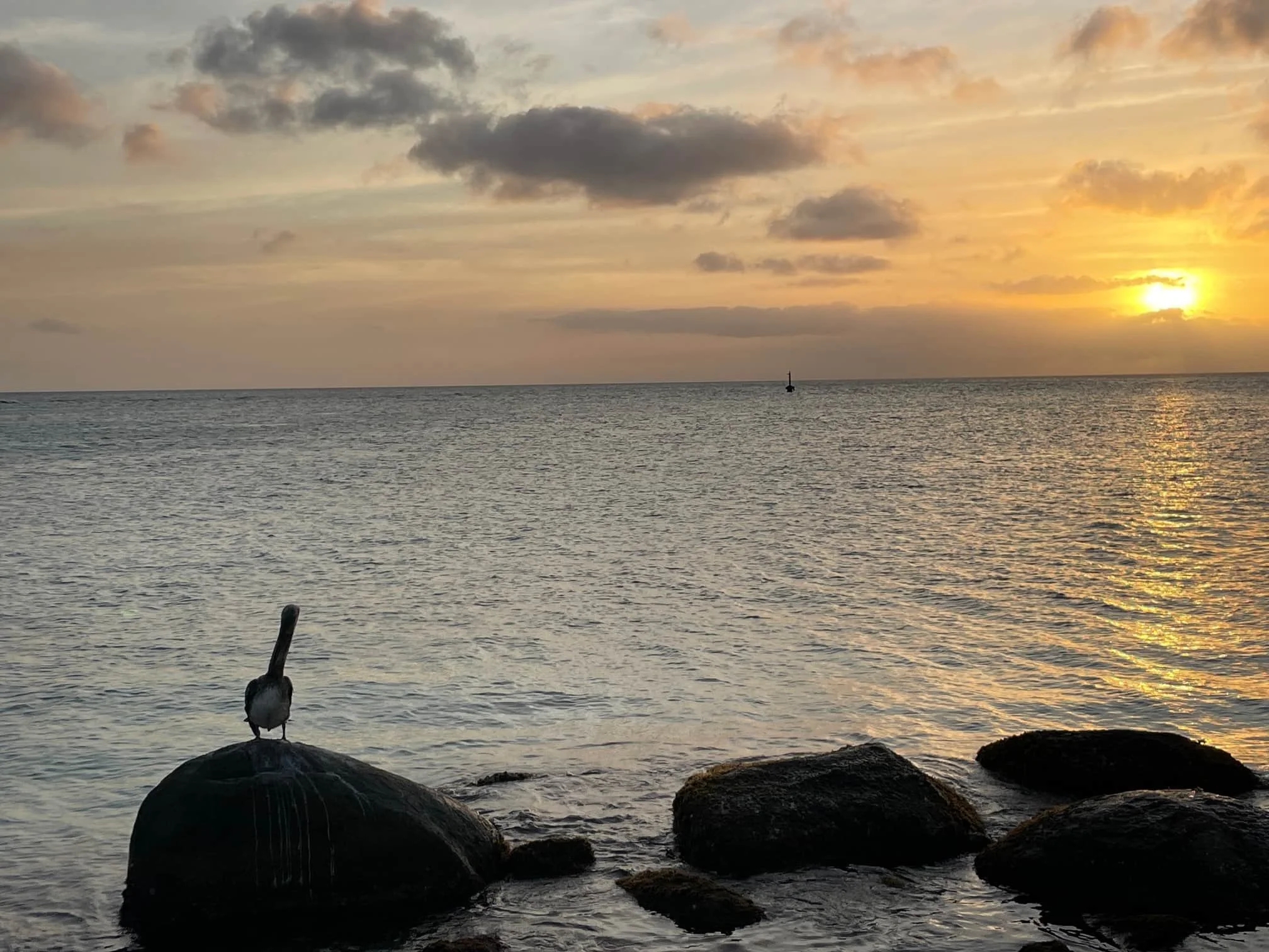 online life coach, virtual life coach, faith based life coaching, mindset coach for women, online life coach for women, online spiritual life coach, intuitive online training