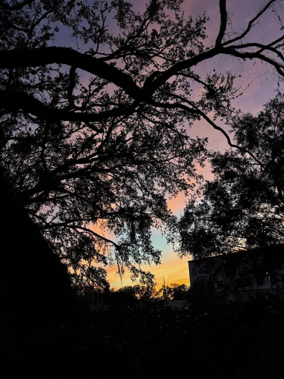 overcome self betrayal