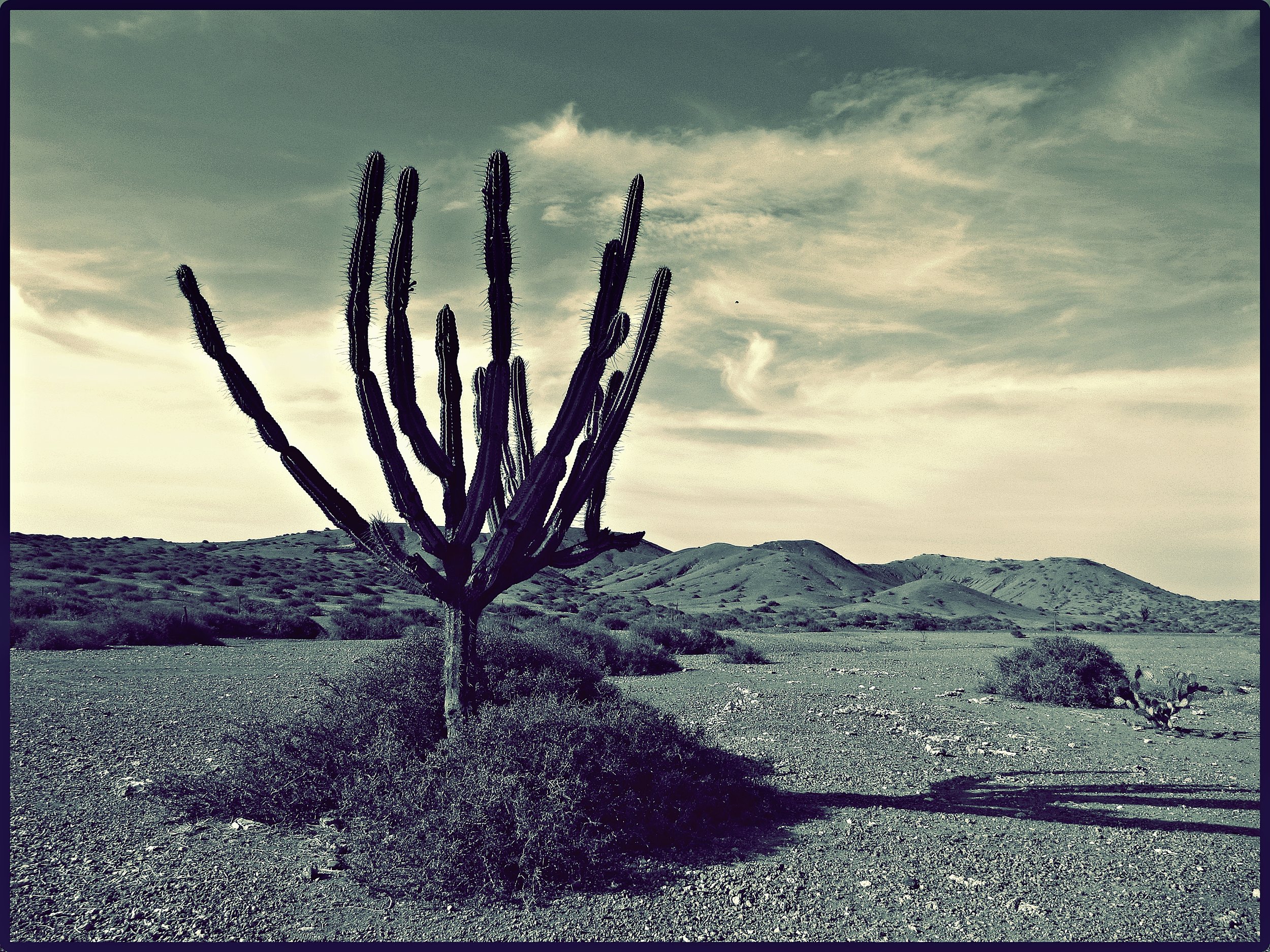 desierto cabo de la vela.jpg